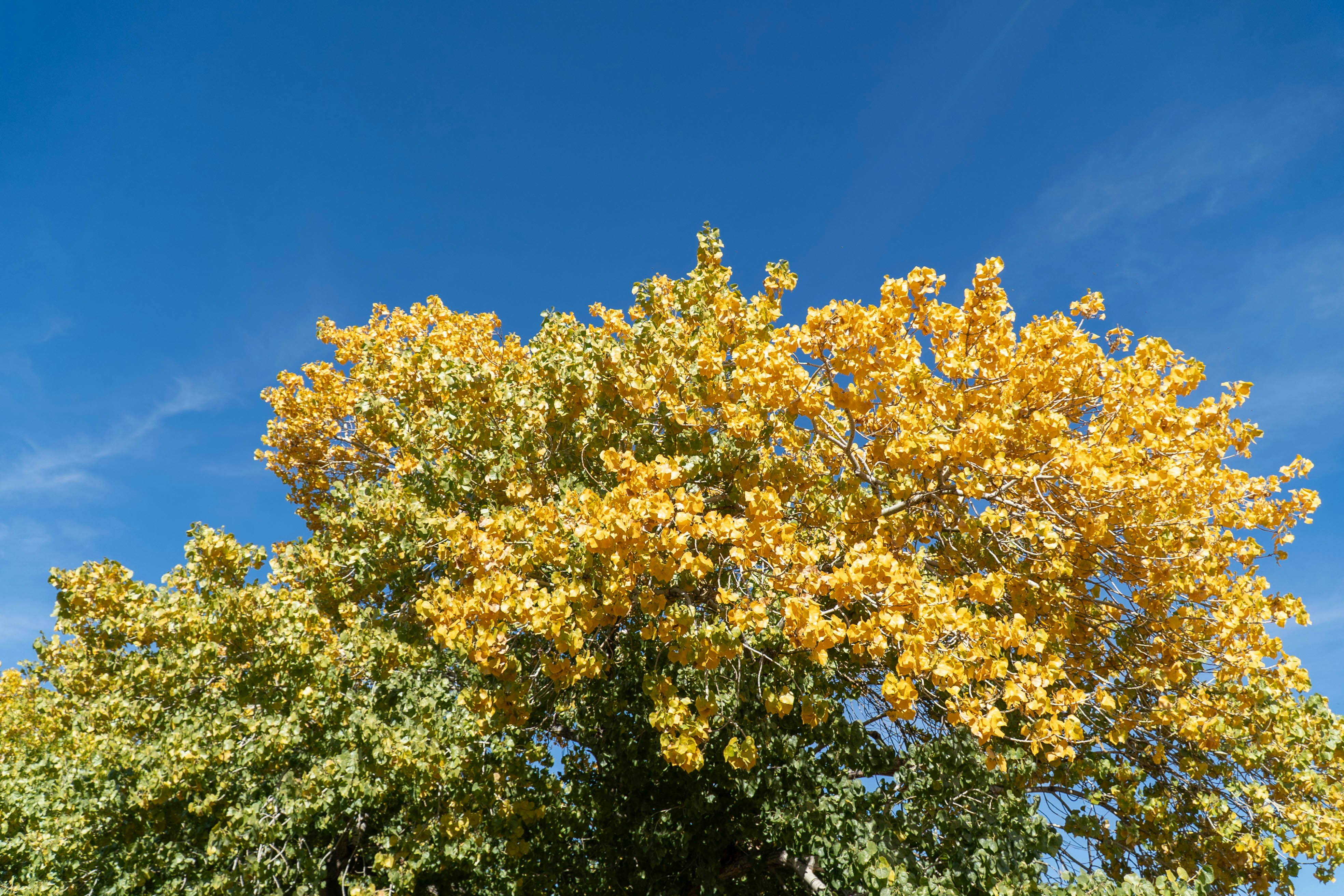 Photo by nico_mikaela17