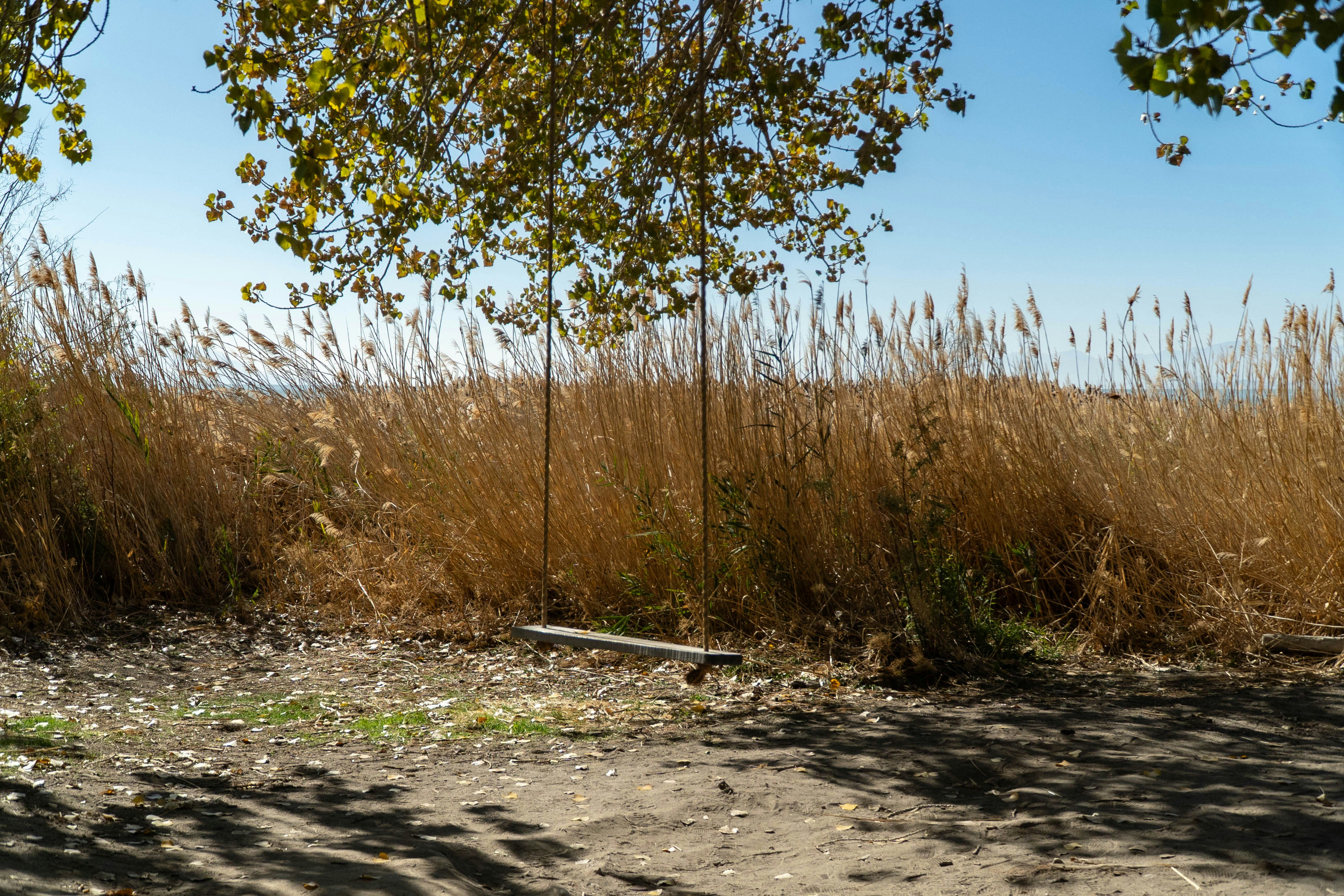 Photo by nico_mikaela17