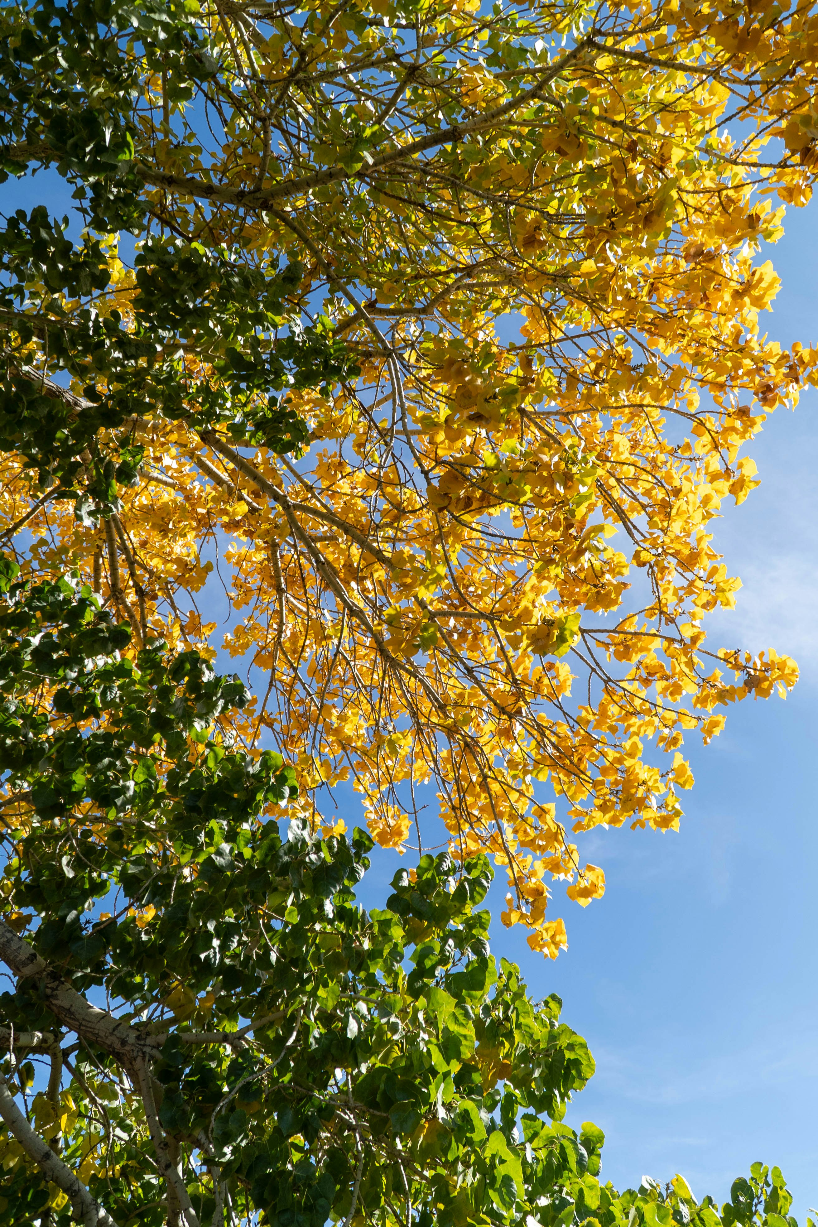 Photo by nico_mikaela17