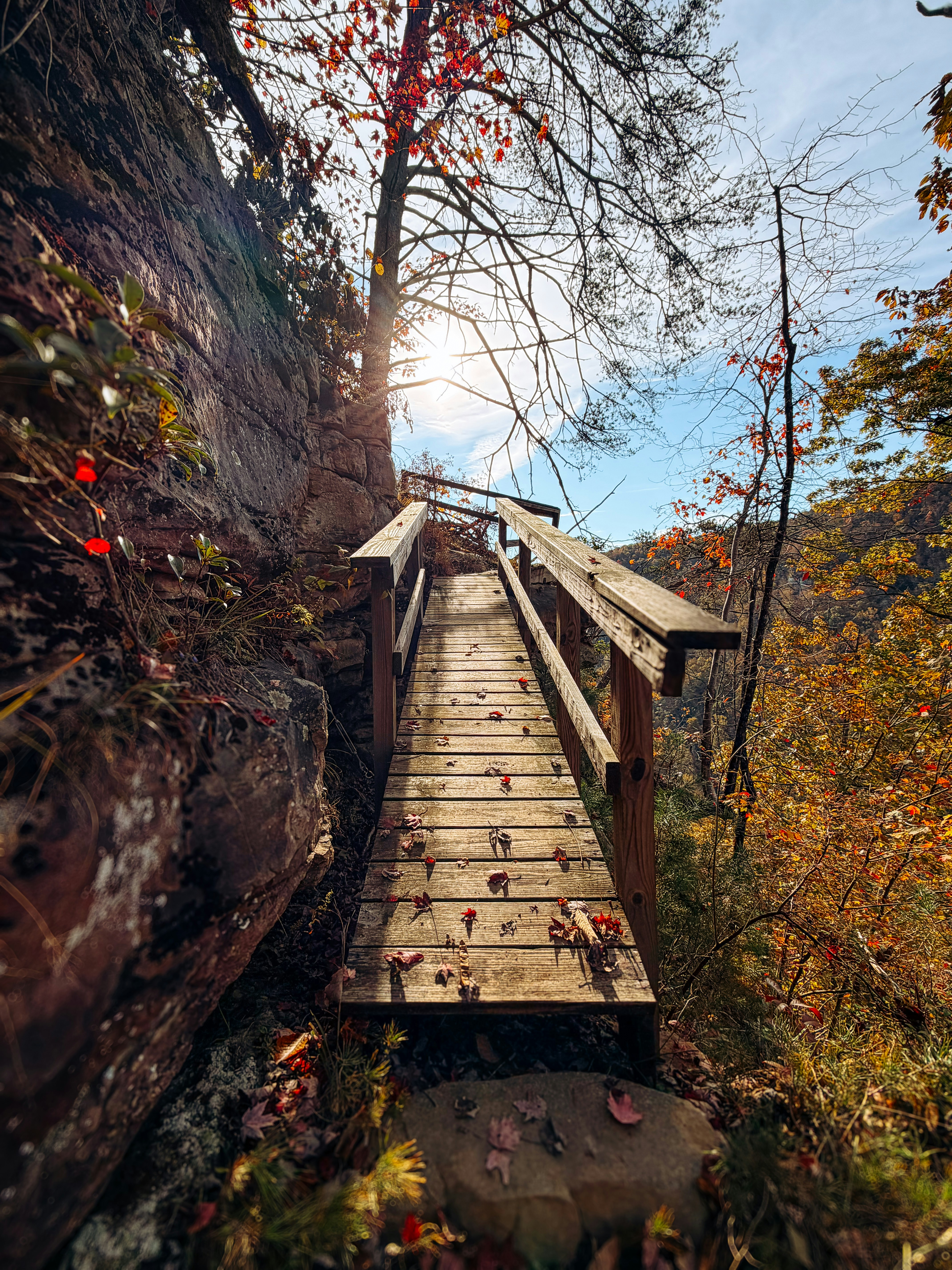 Wooden bridge on a trail surrounded by autumn foliage