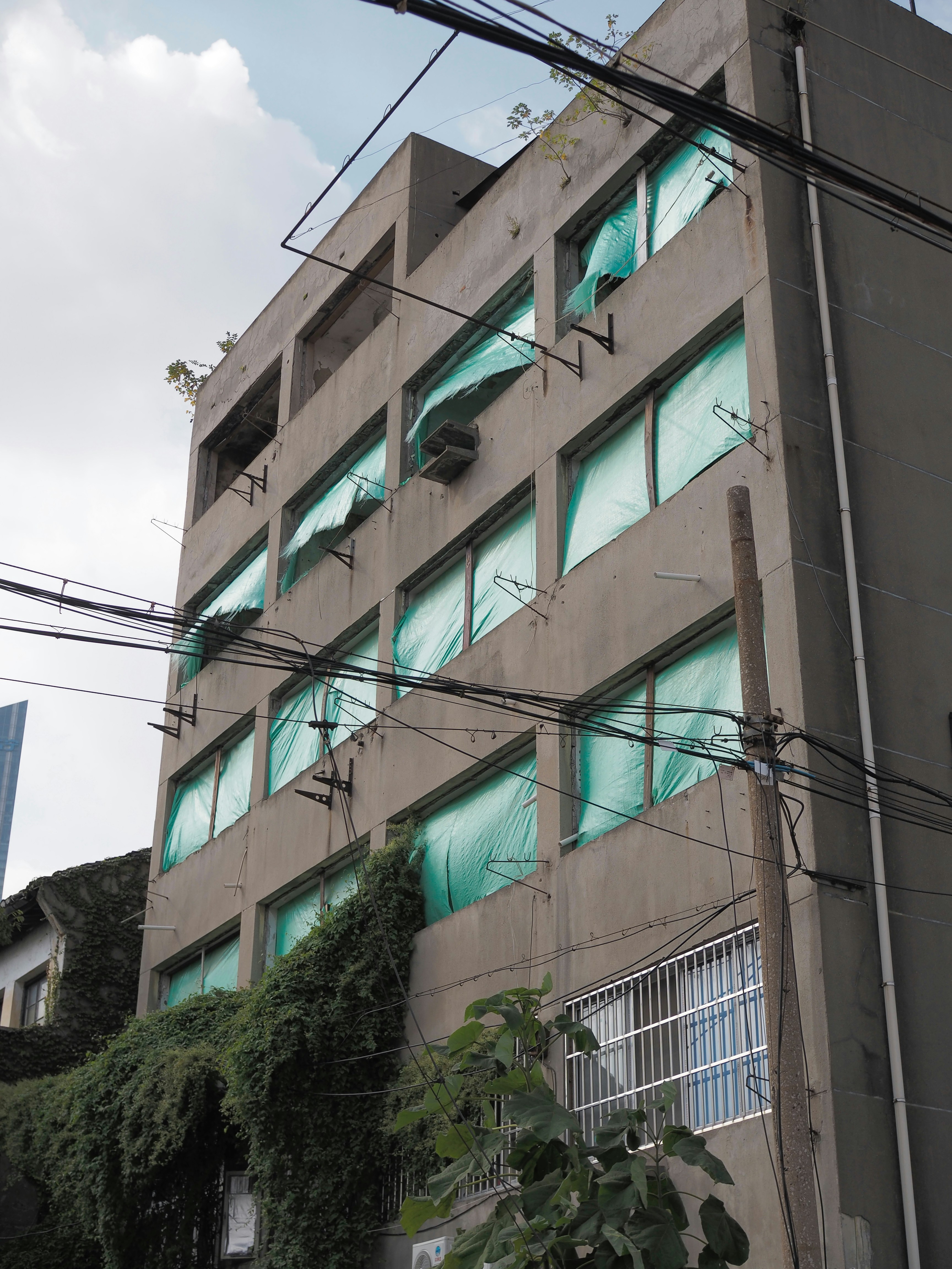 Building with green coverings over windows