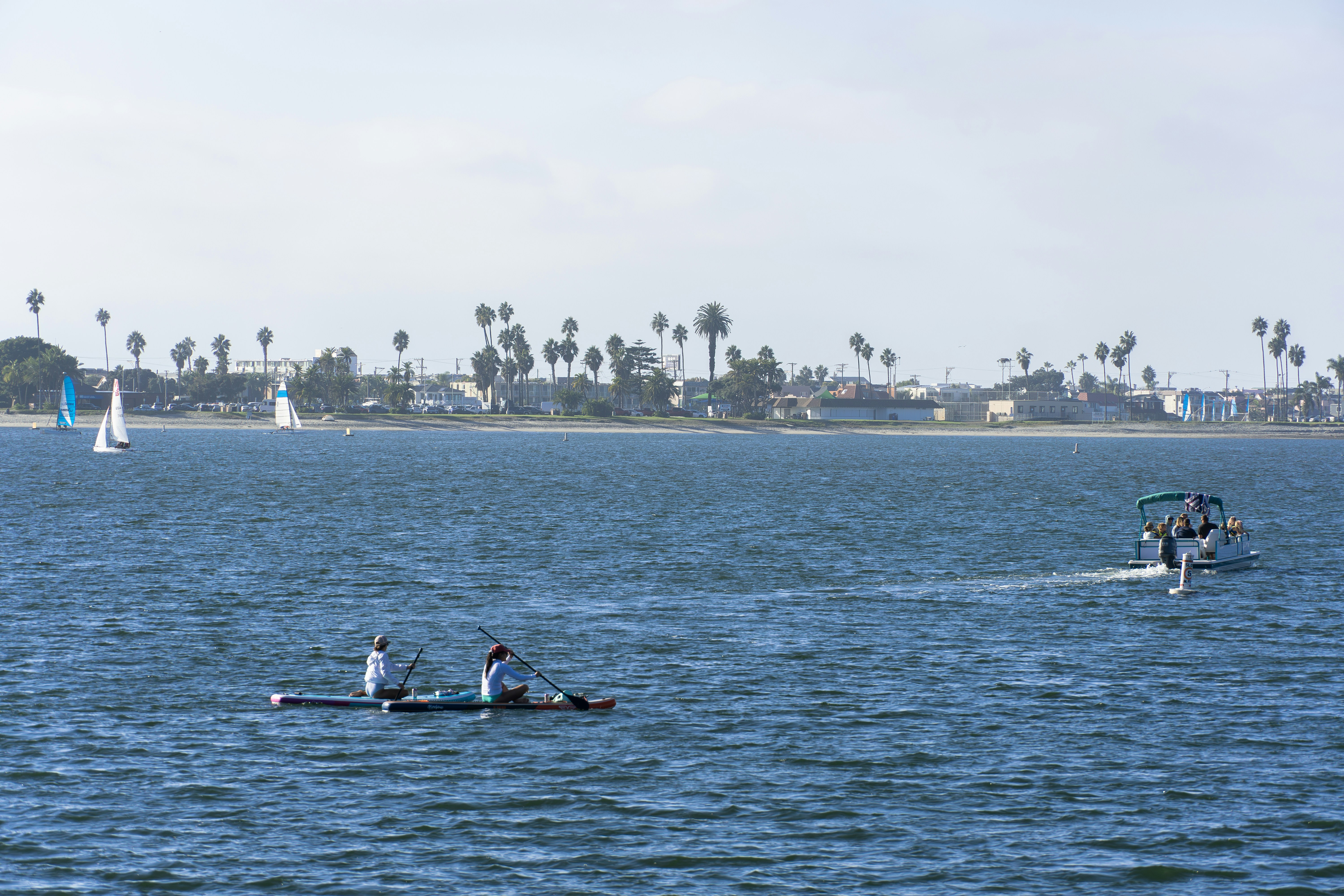 Two people paddleboarding on a calm blue ocean.