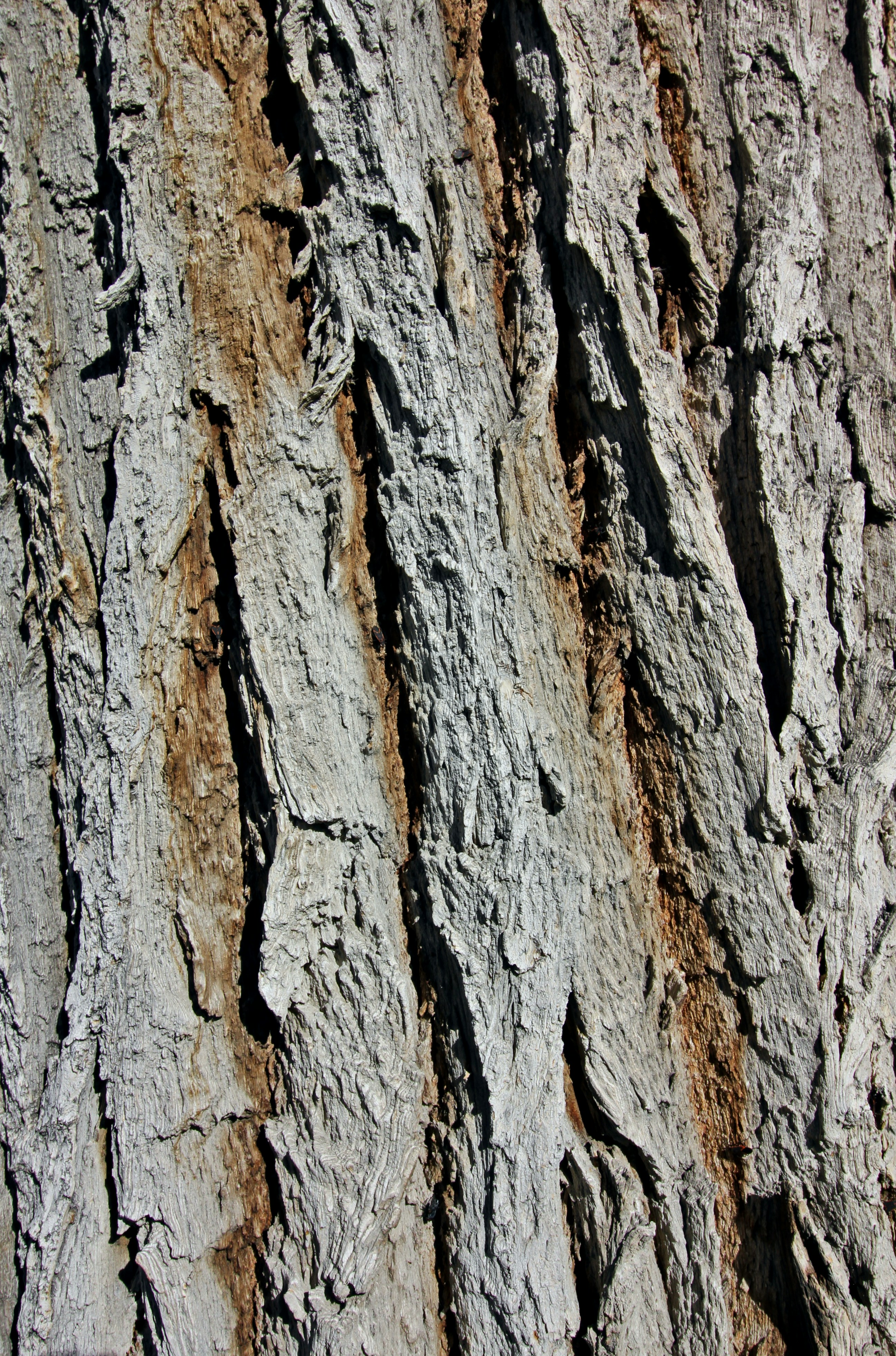 Photo by marchingnapkin