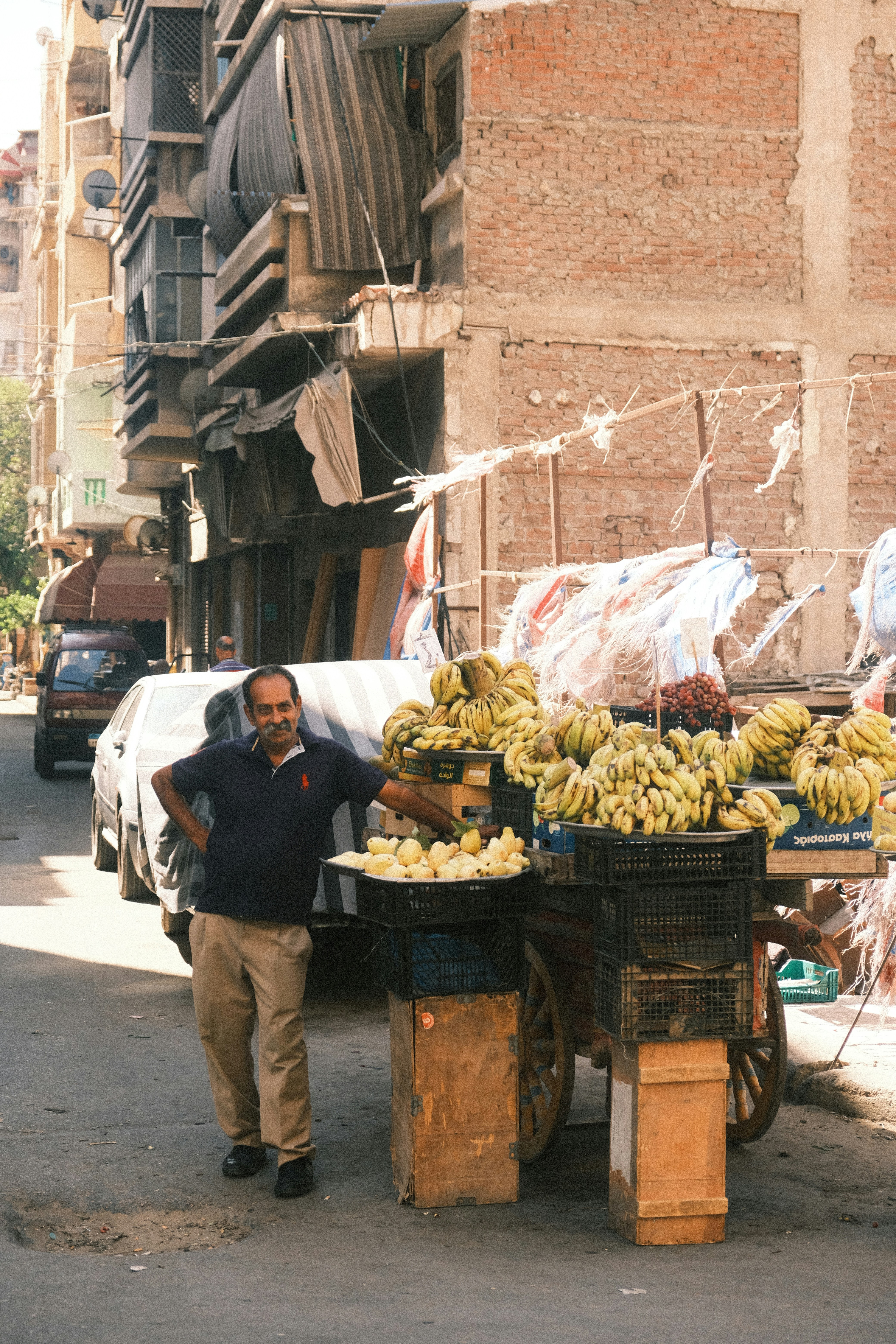 Alexandria – Budgeting & Cost Expectations