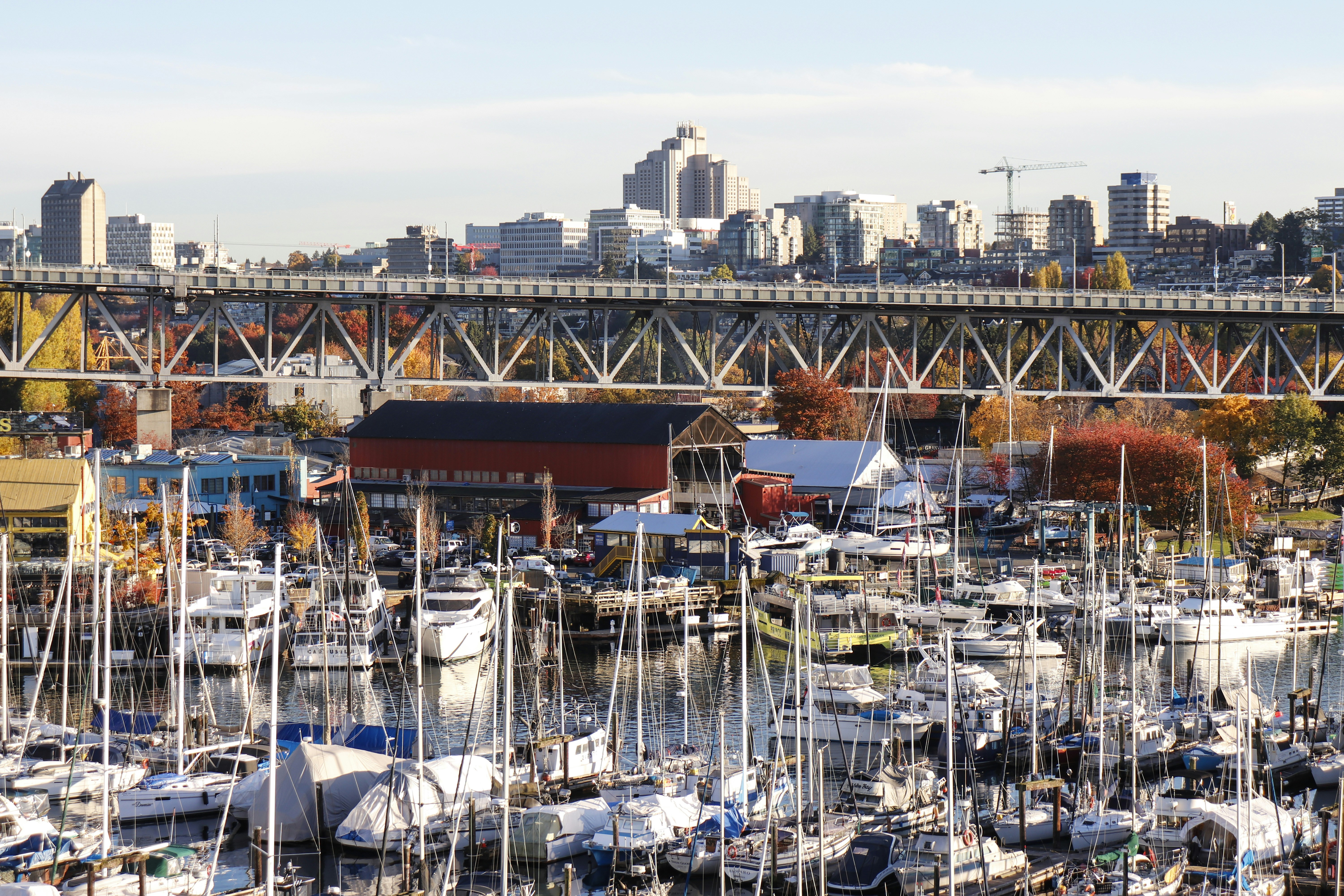 Boats docked in a harbor with a city skyline bridge.