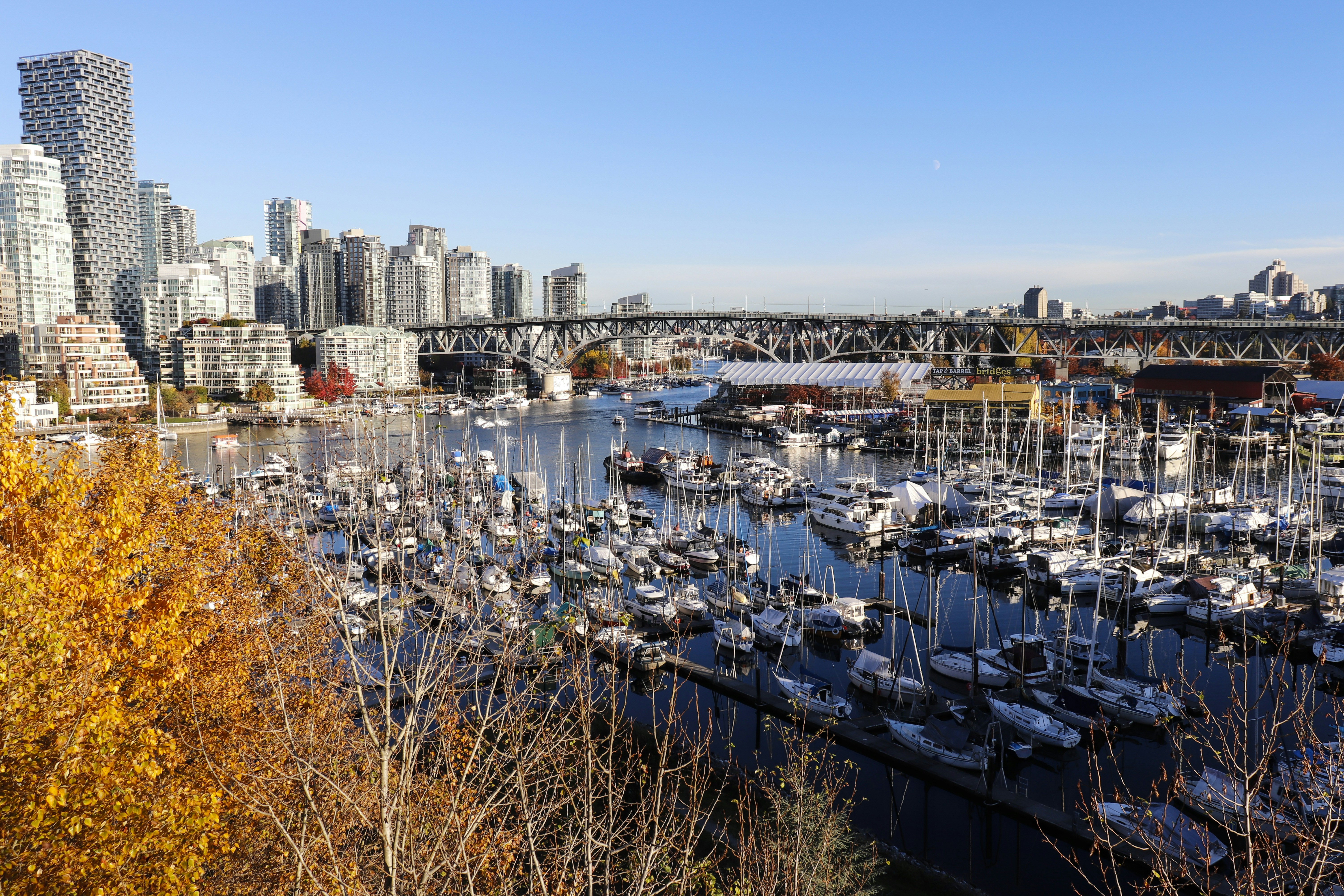 Boats docked in a harbor with city skyline background.