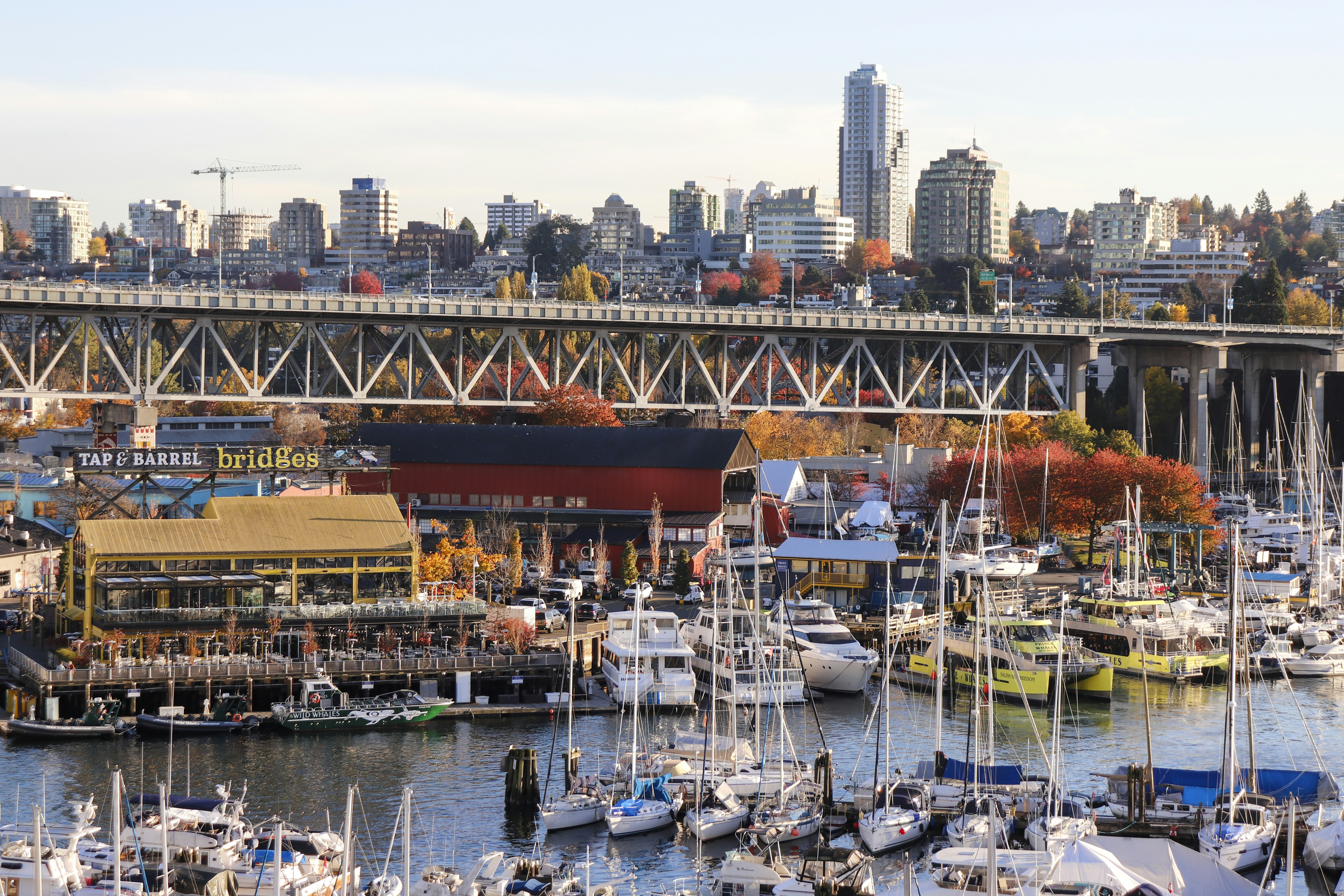 Boats docked in harbor with city skyline and bridge.