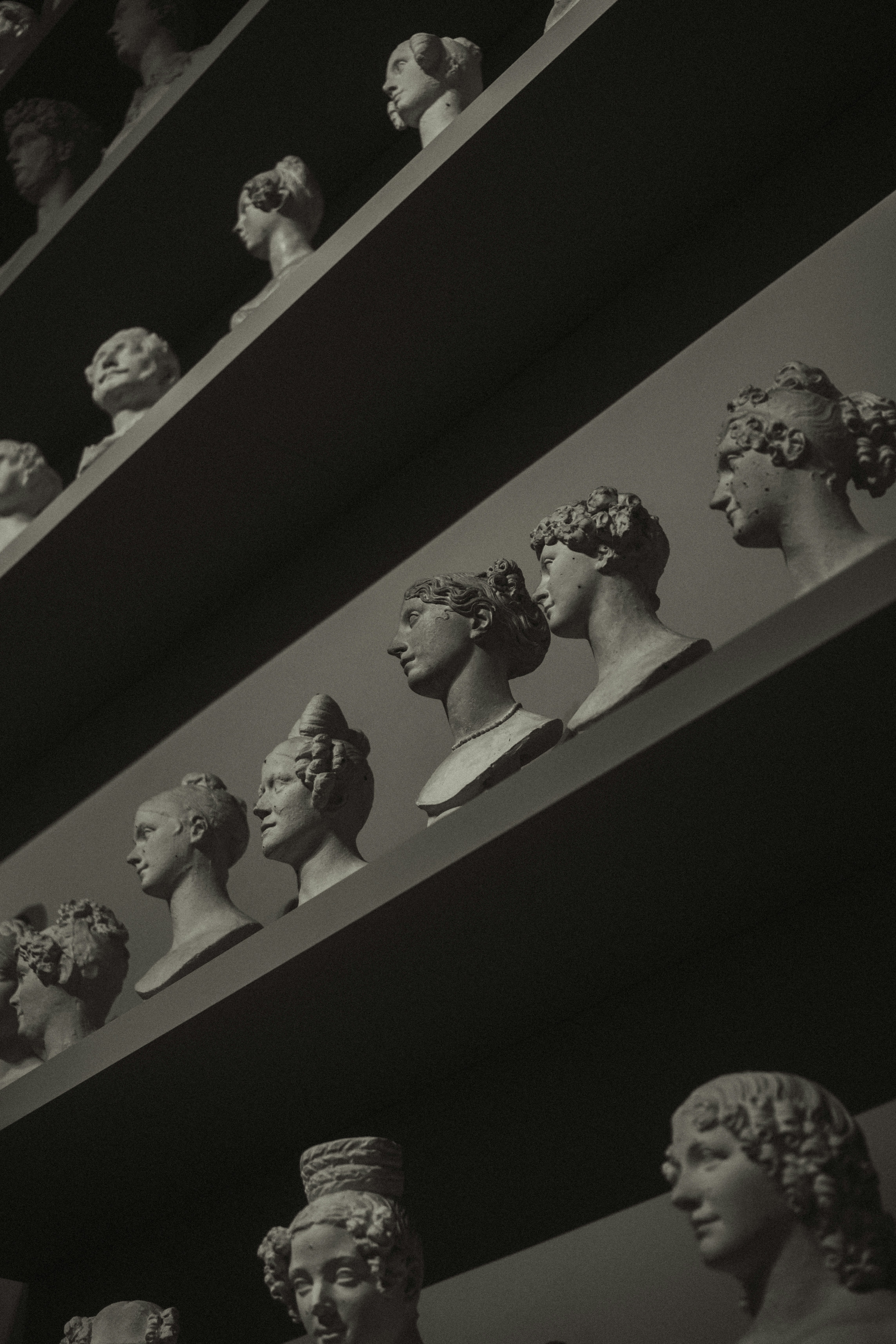 Fileiras de bustos clássicos exibidos nas prateleiras