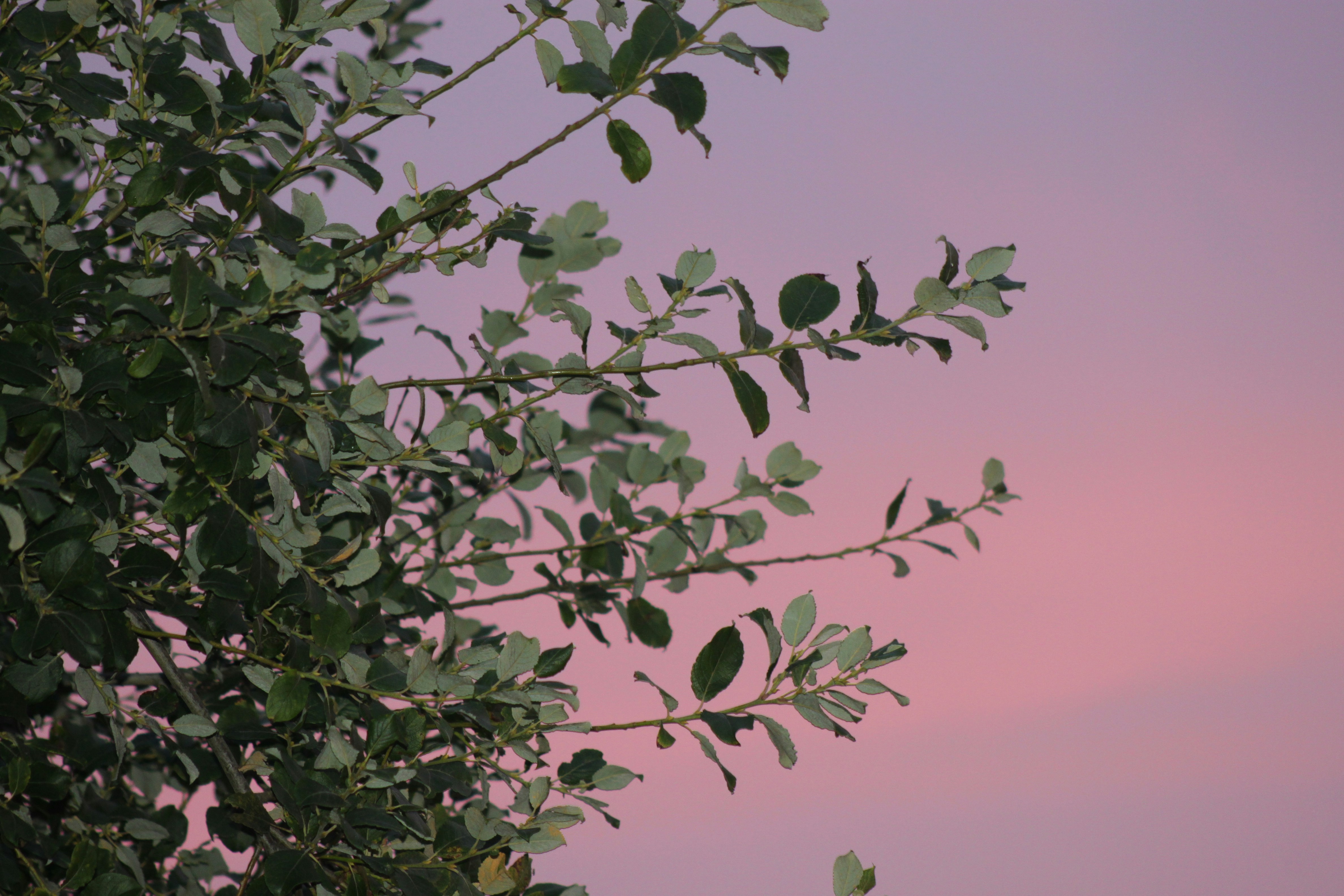 Photo by rubyphotography