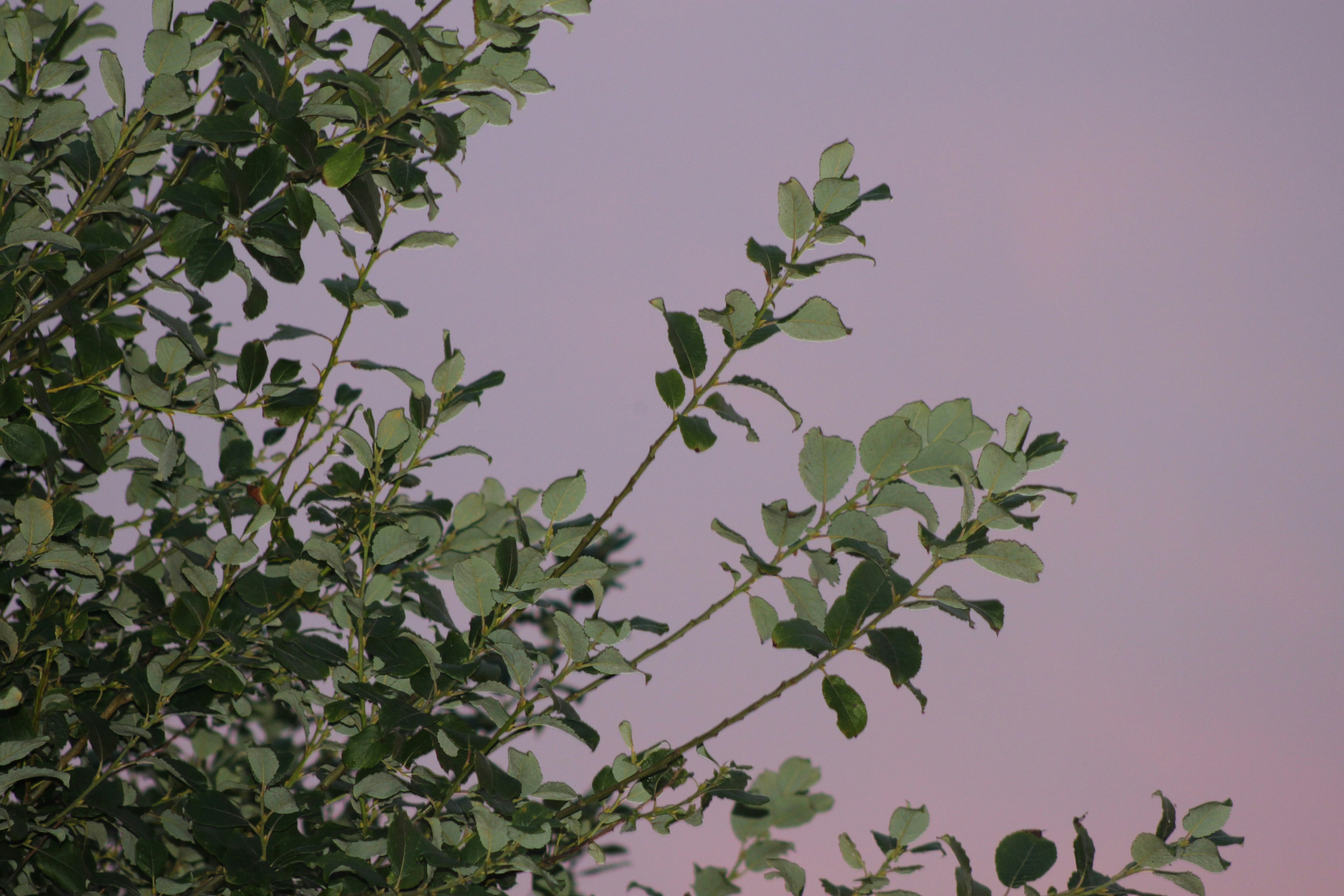 Photo by rubyphotography