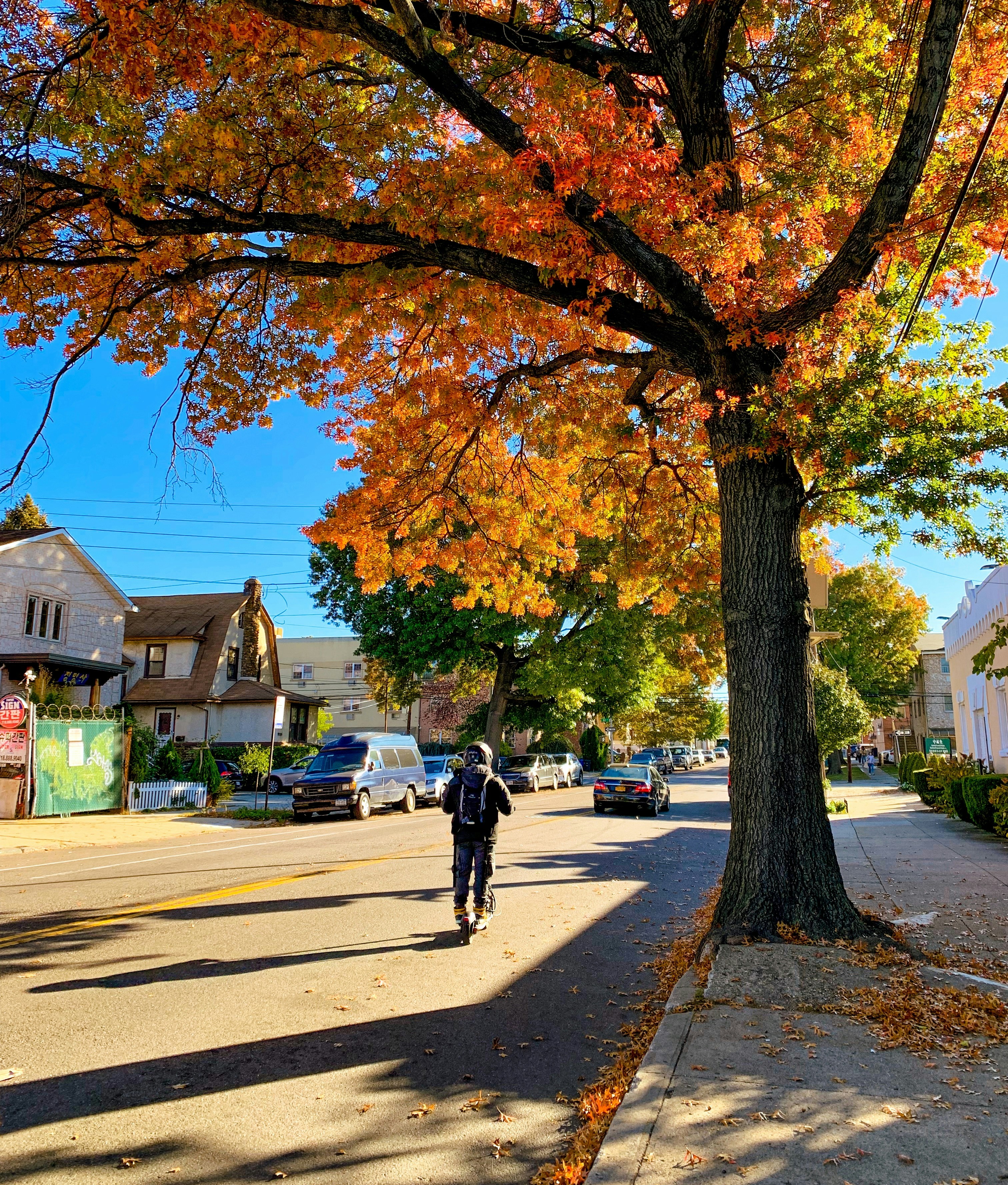 Photo by brainrottin_muhit