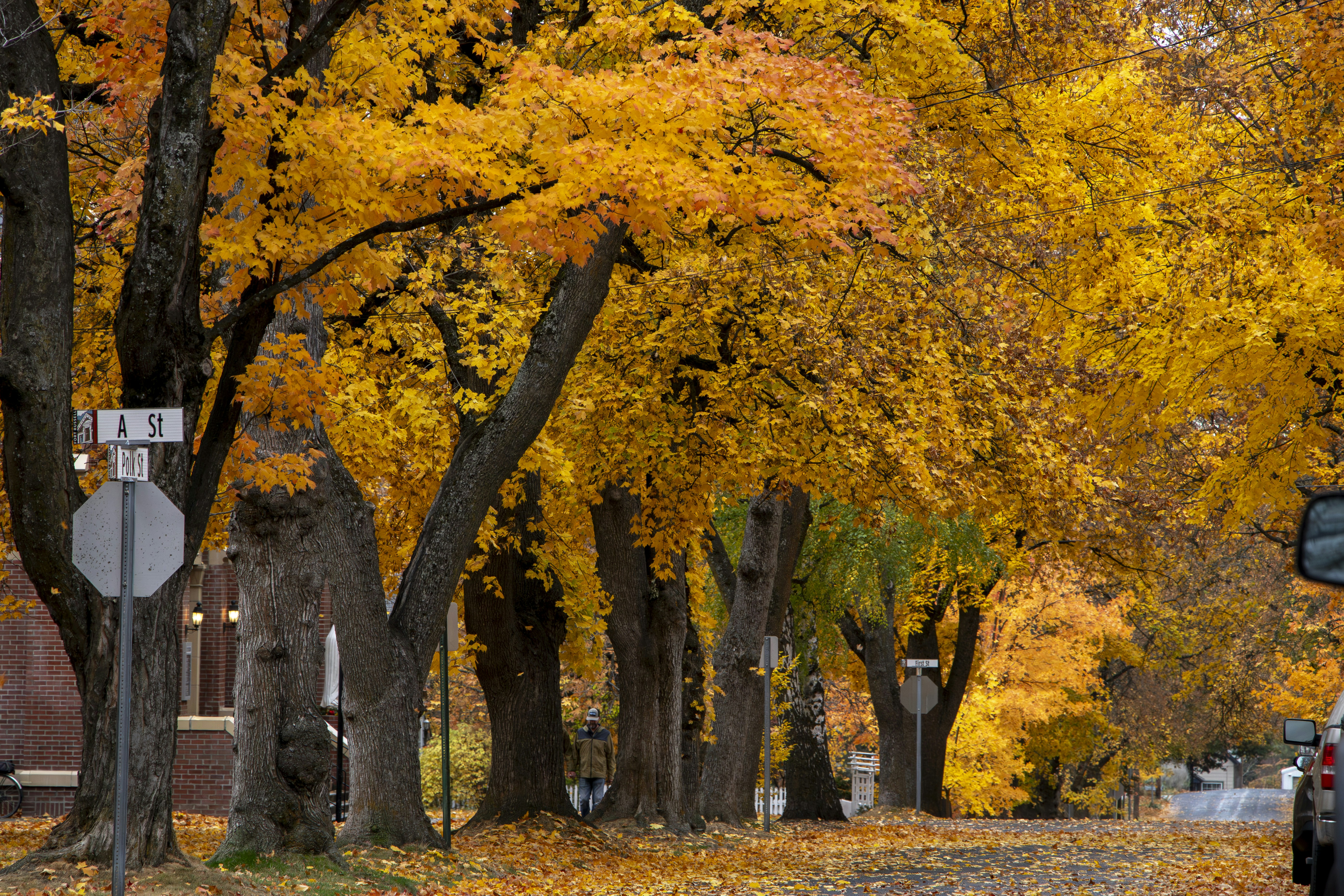 Photo by davidmcguire