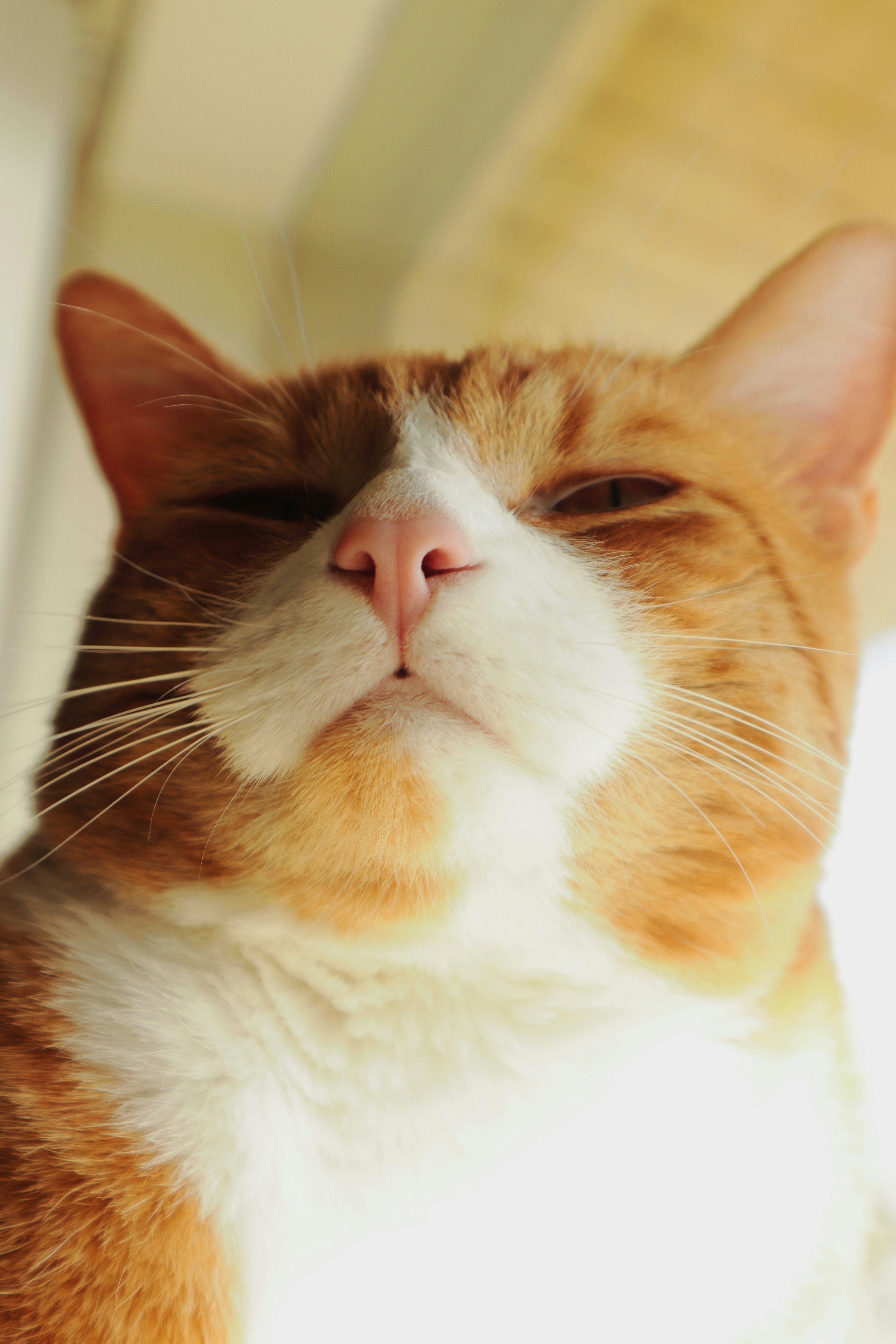 Photo by silviapgalan