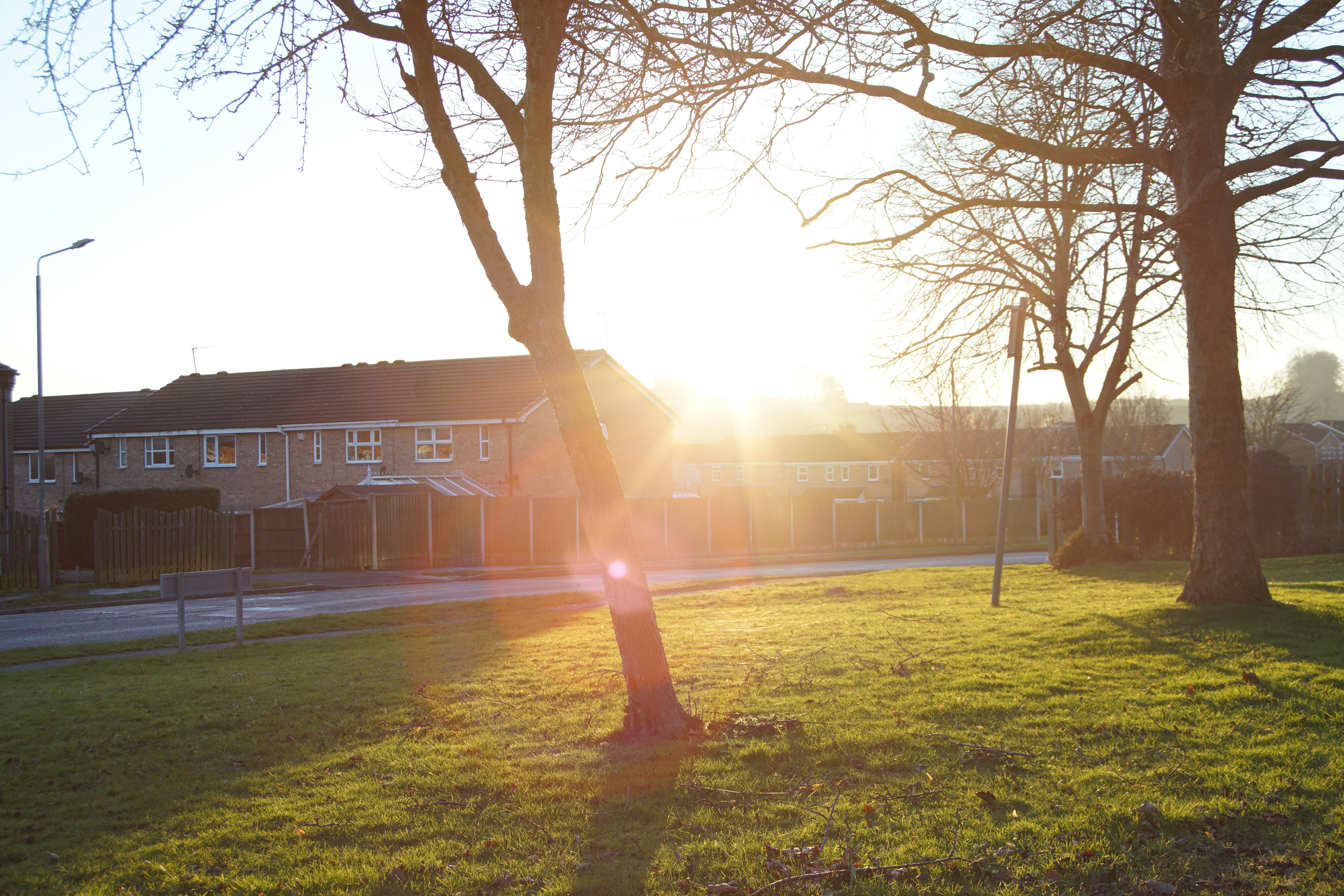 Peaceful park with sunlight through trees