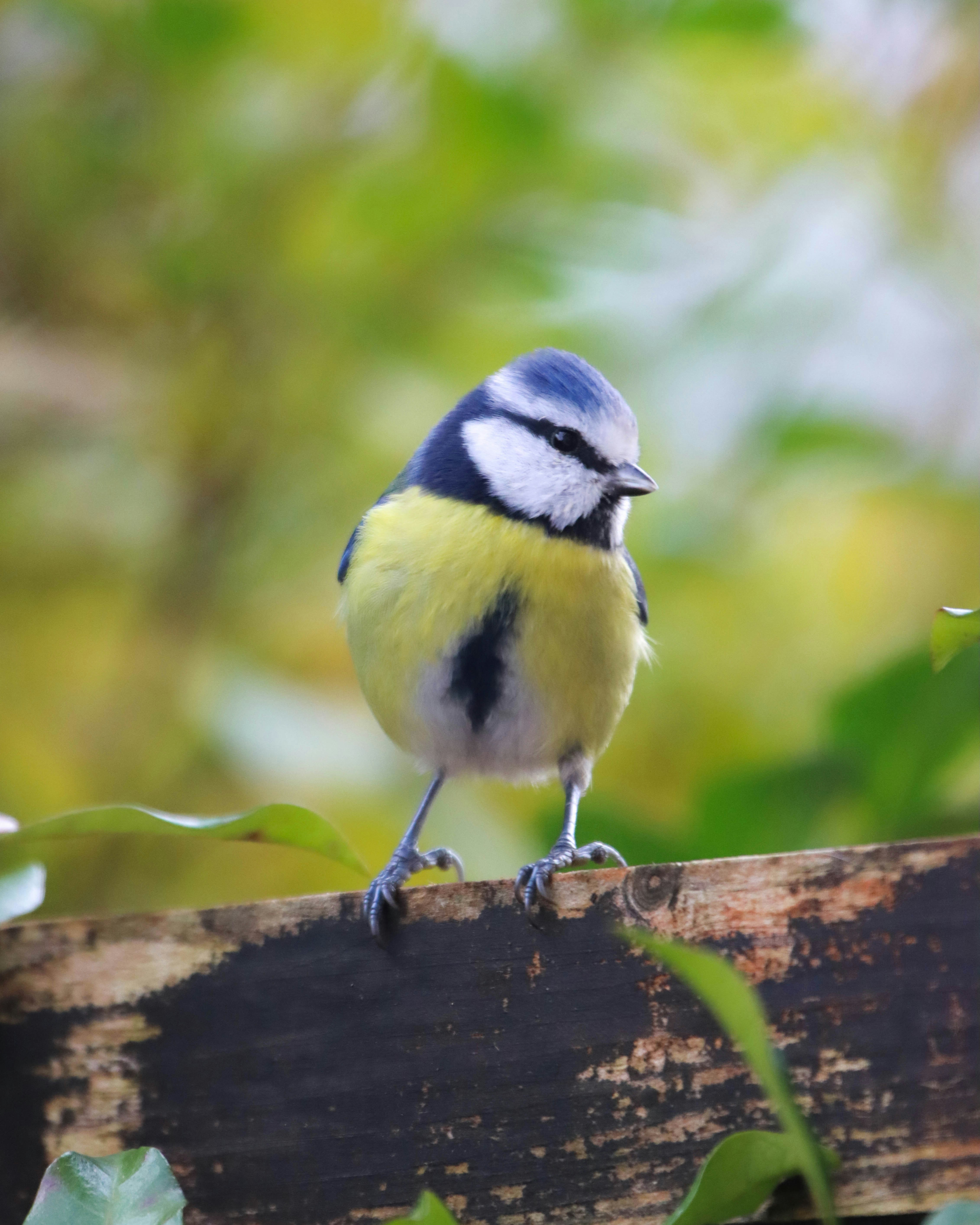 Photo by ishxmphotos