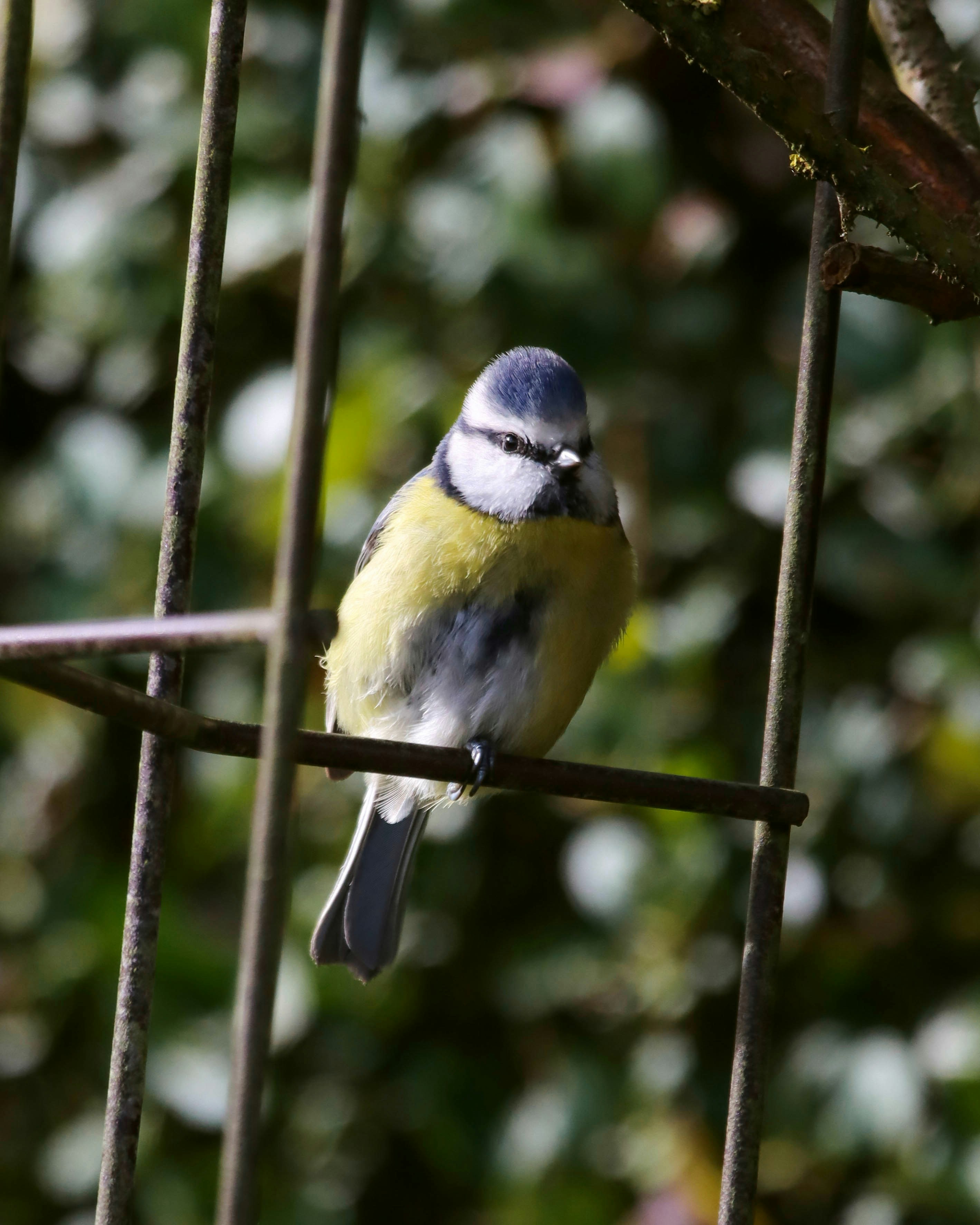 Photo by ishxmphotos