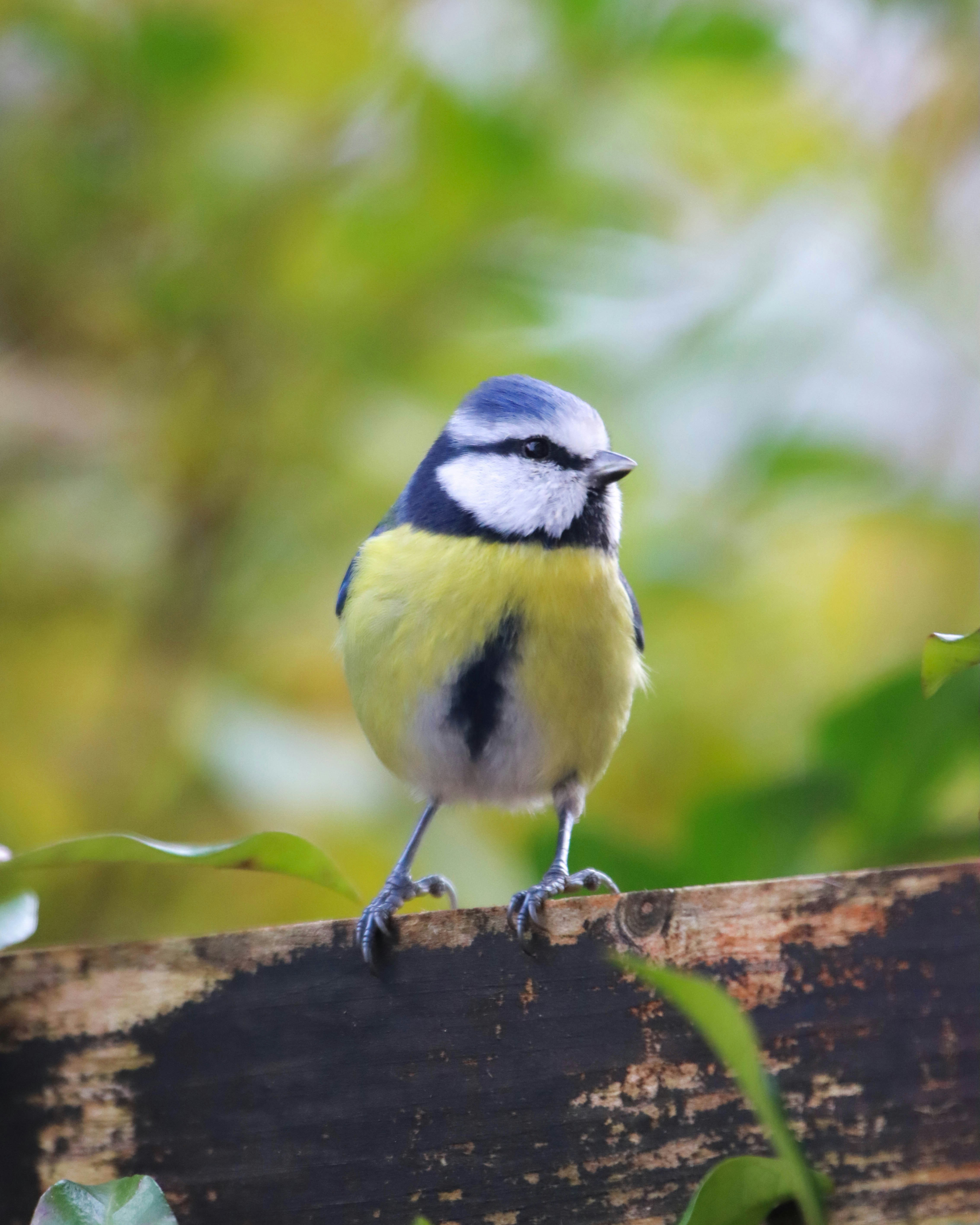 Photo by ishxmphotos