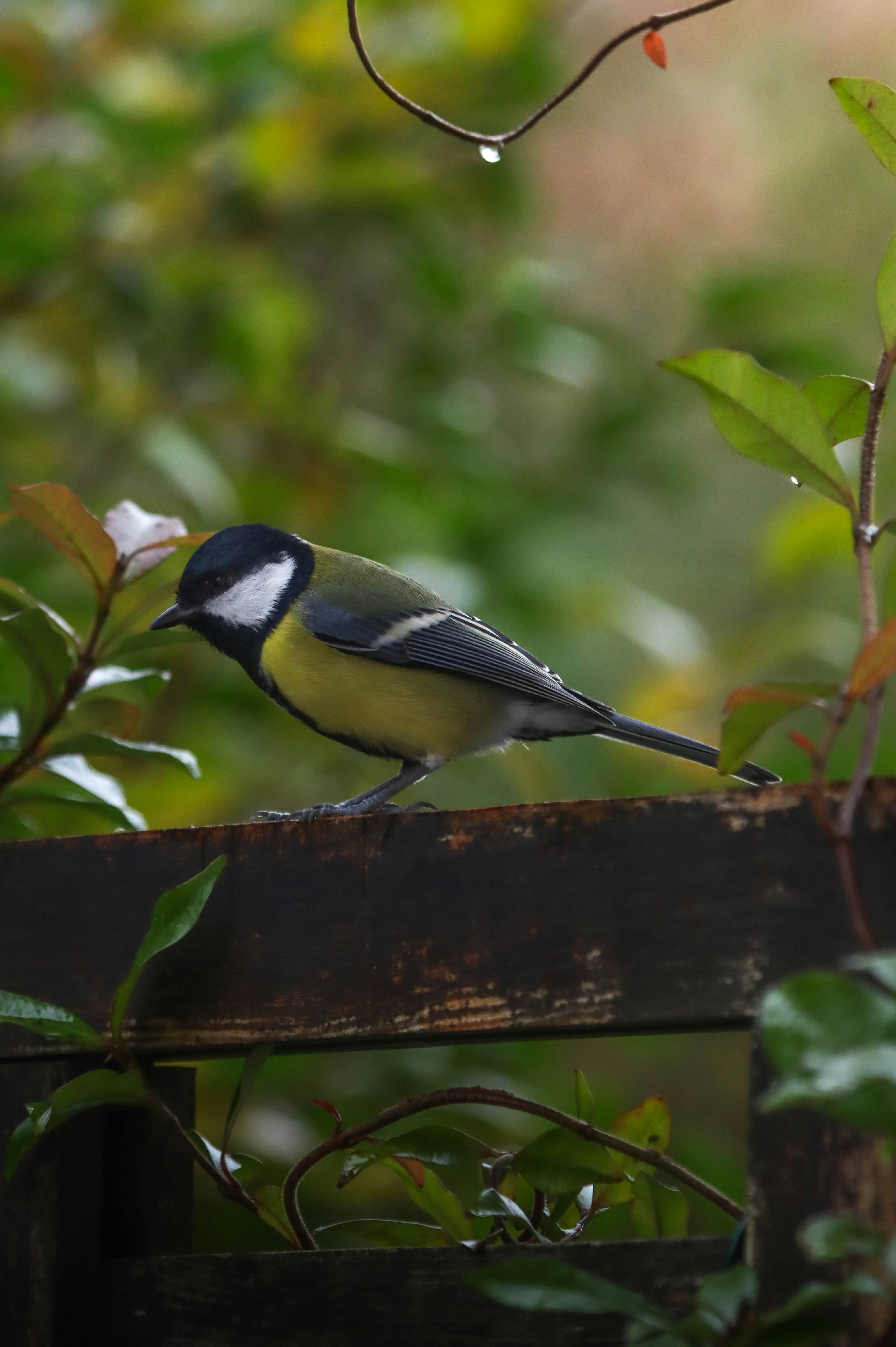 Photo by ishxmphotos