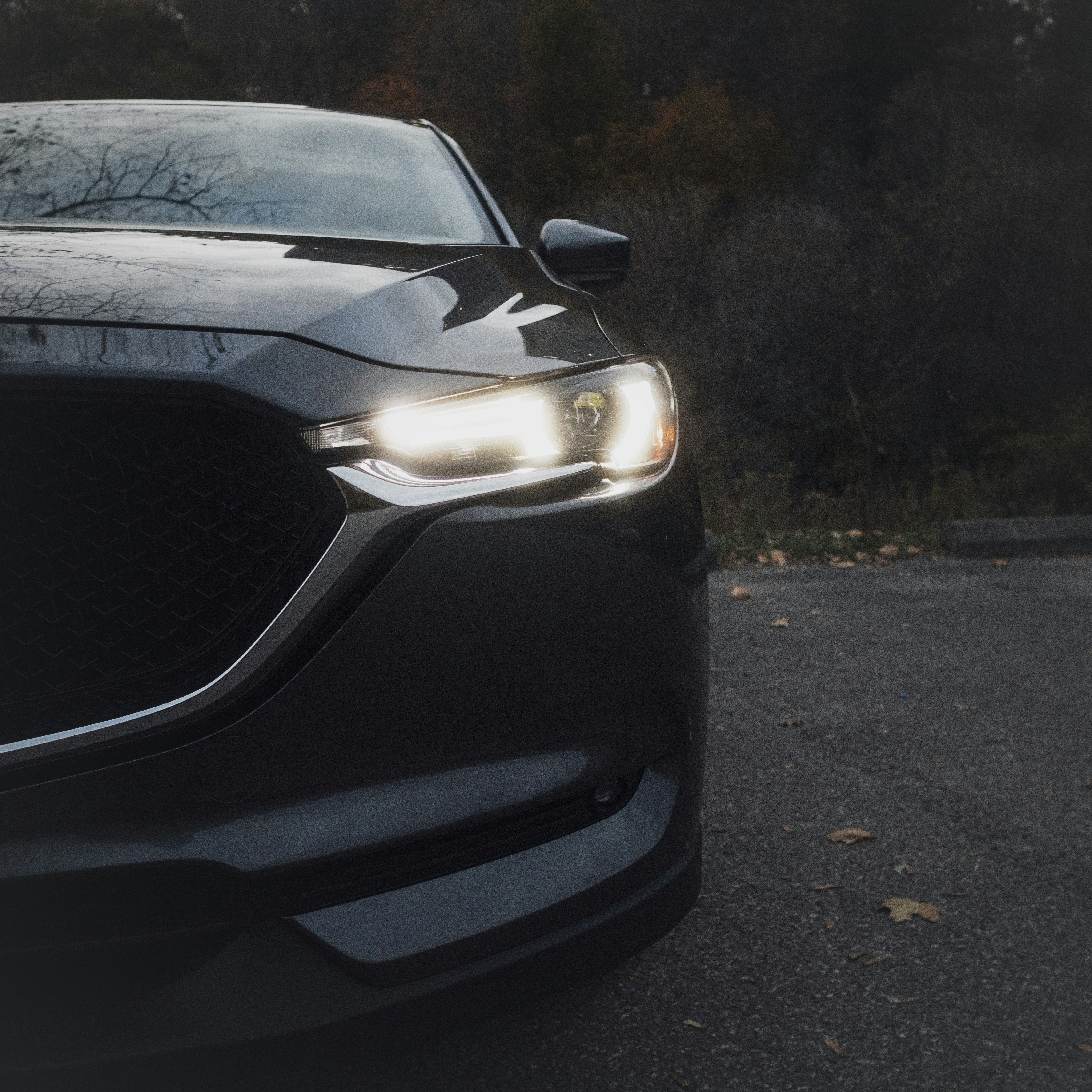 Photo by swollfadder