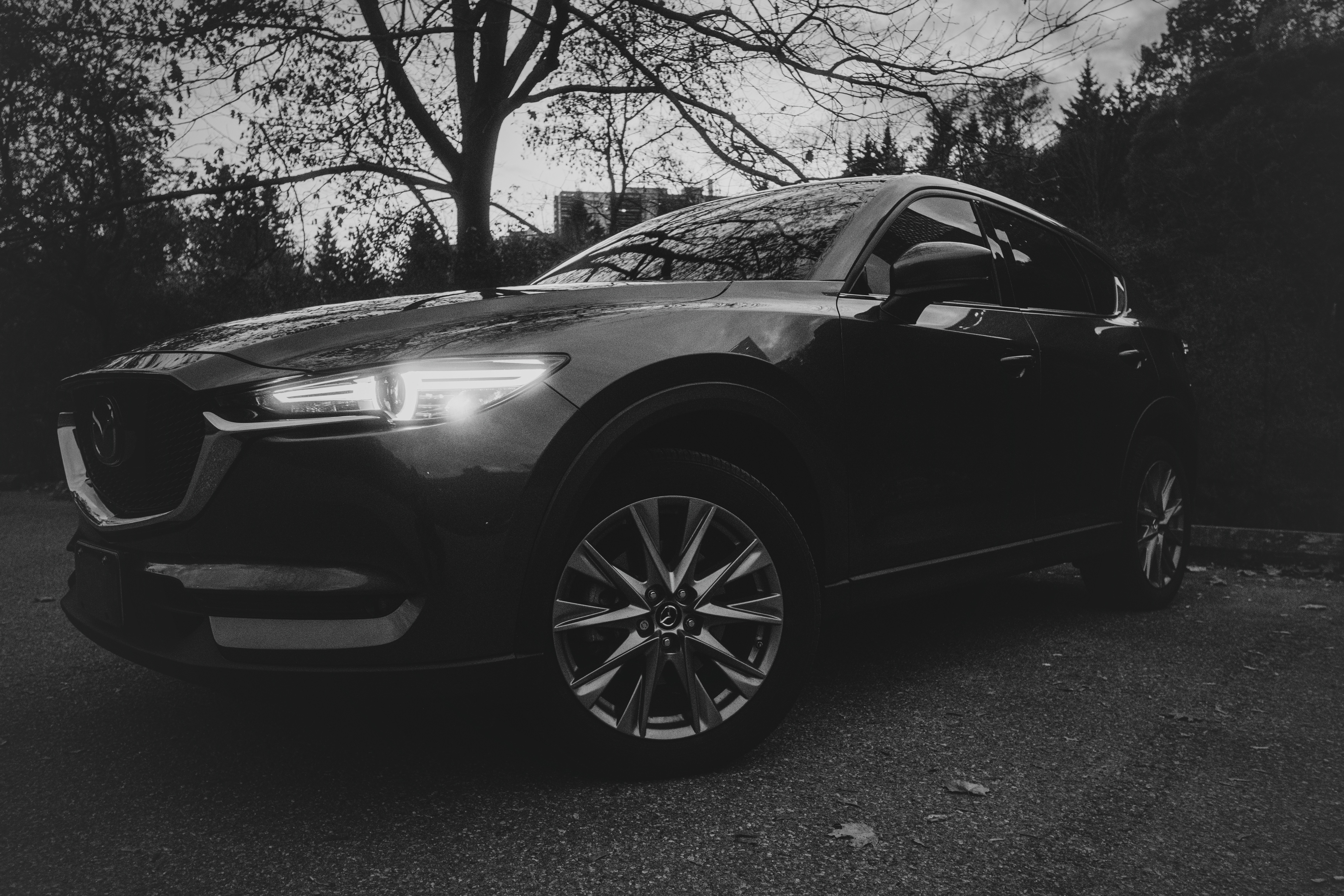 photo-1762077656289-fd2b6837ac9b?ixid=M3wxMjA3fDB8MXxzZWFyY2h8OHx8ZXZlcnlkYXklMjBsaWZlJTIwc29sdXRpb25zfGVufDB8fHx8MTc2NDYwMzkyOHww\u0026ixlib=rb-4.1.0