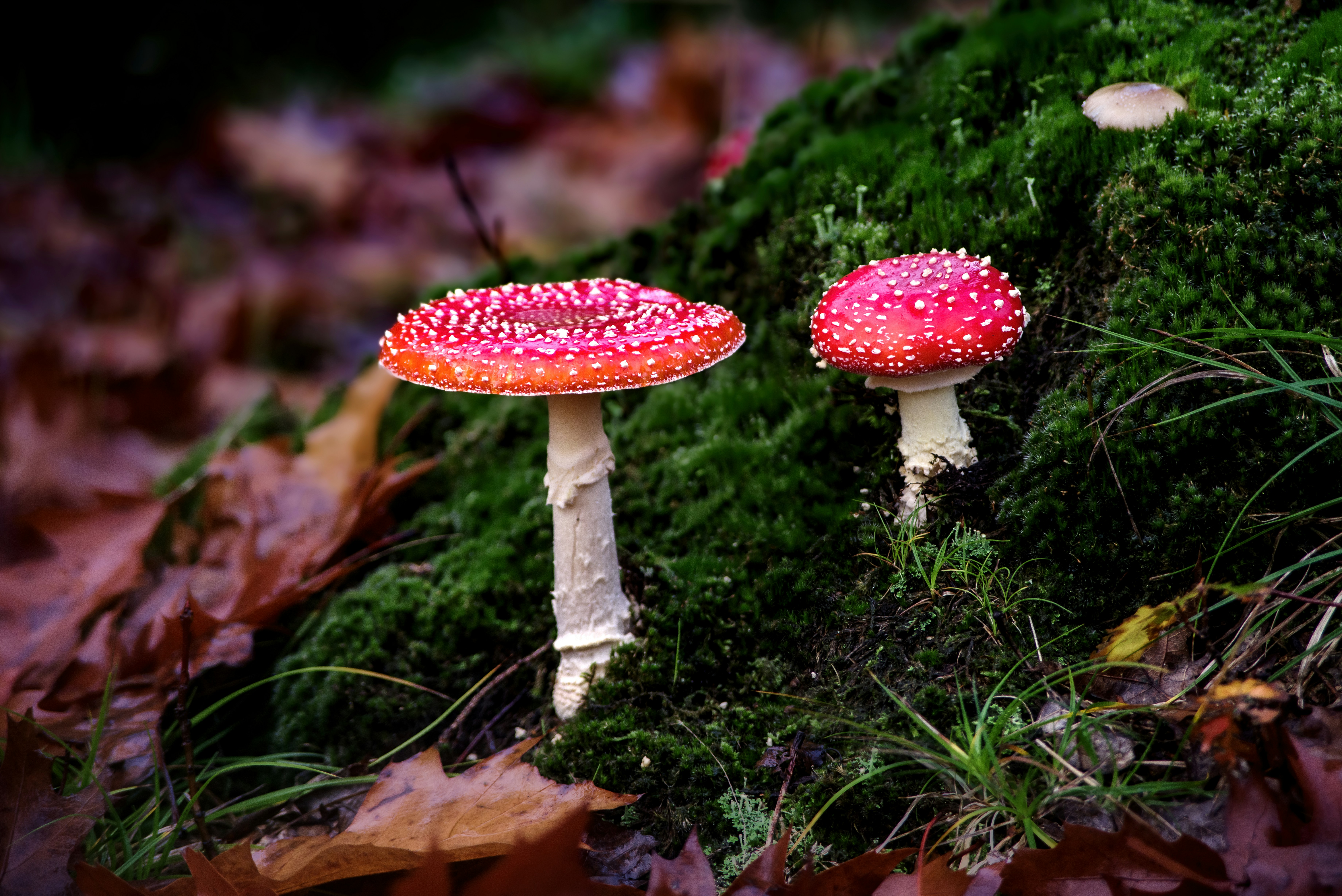 Photo by switch_dtp_fotografie