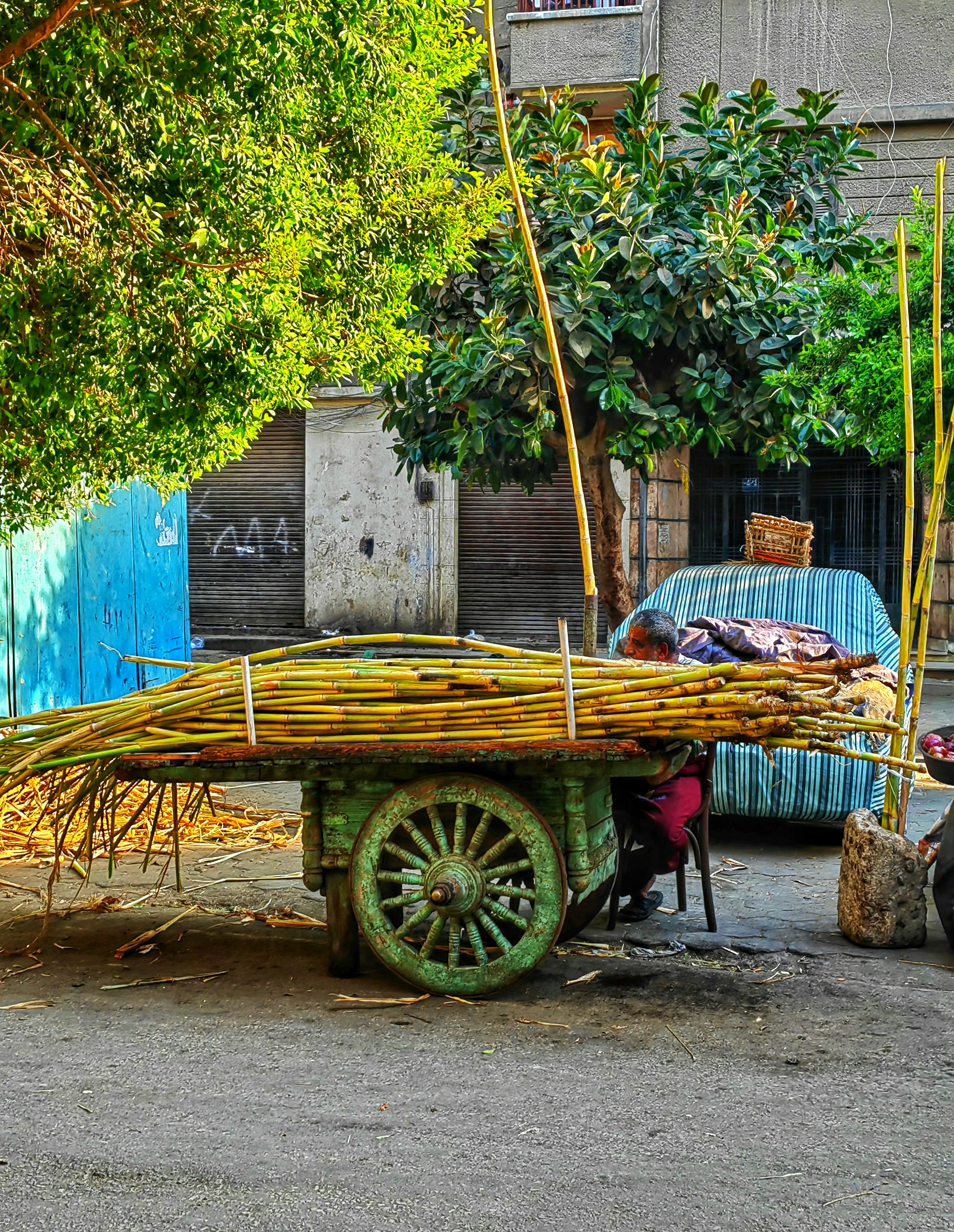 Photo by sameh_from_egypt