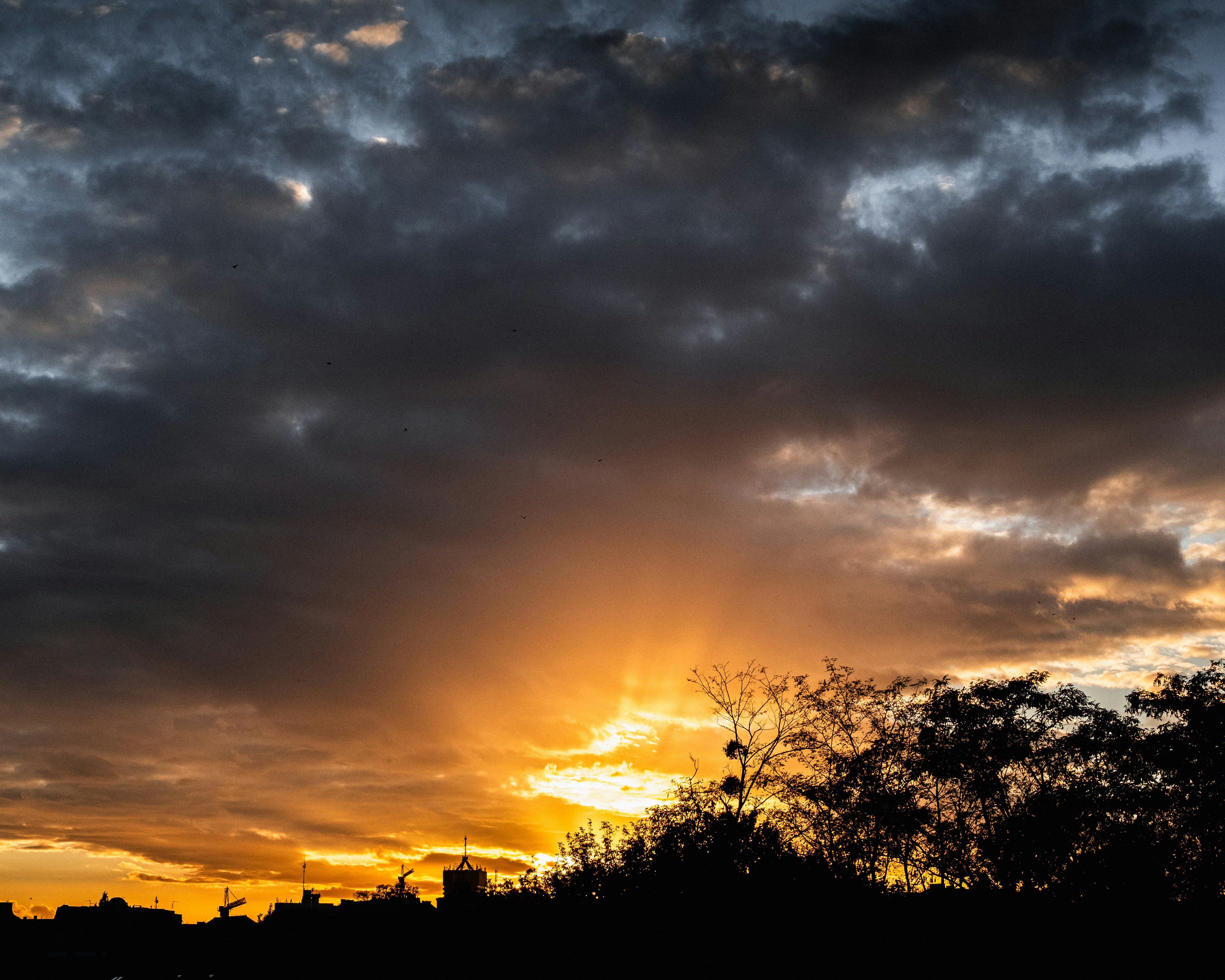 Photo by maksim_taawy