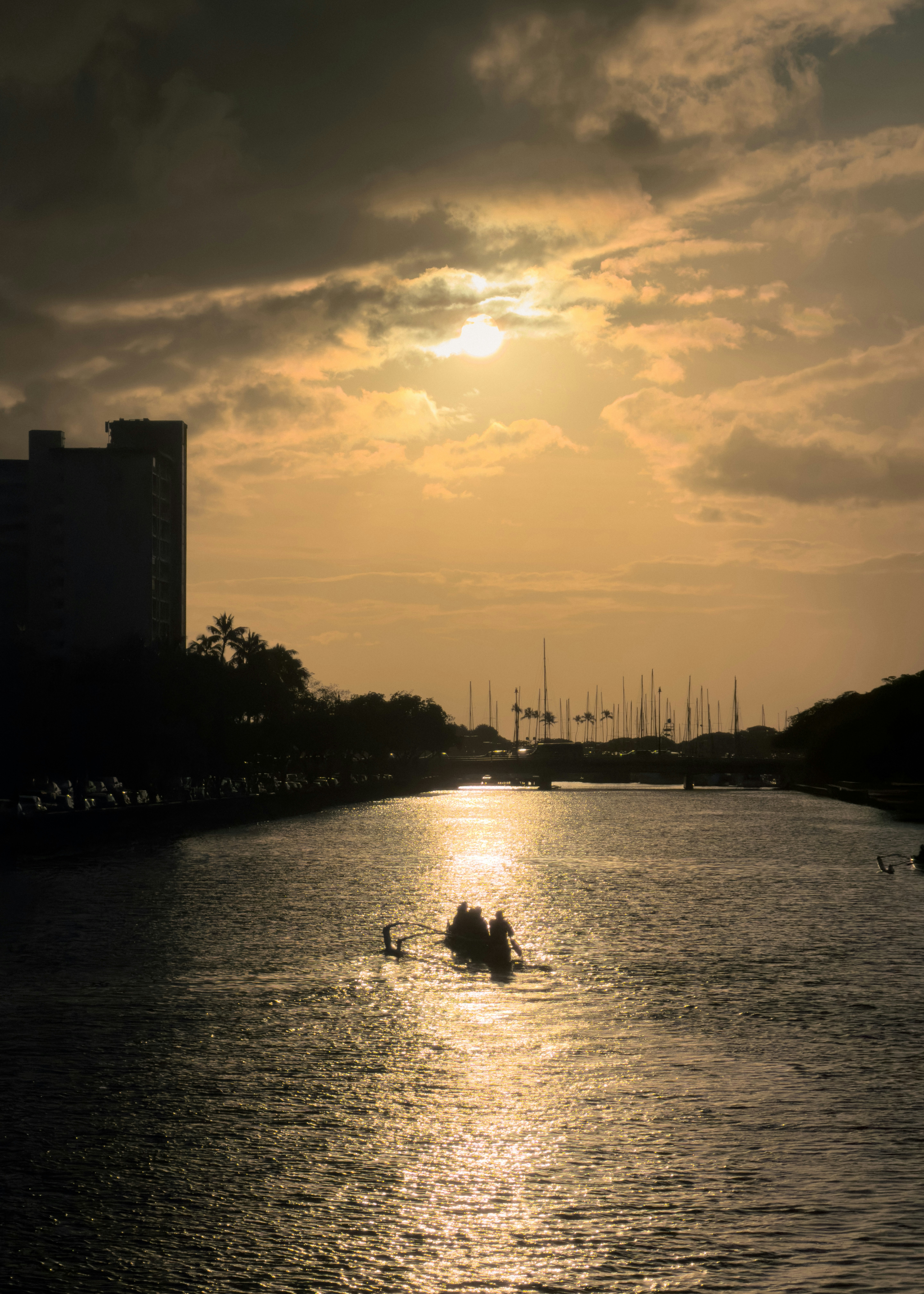Dragon boat team paddles at sunset on river