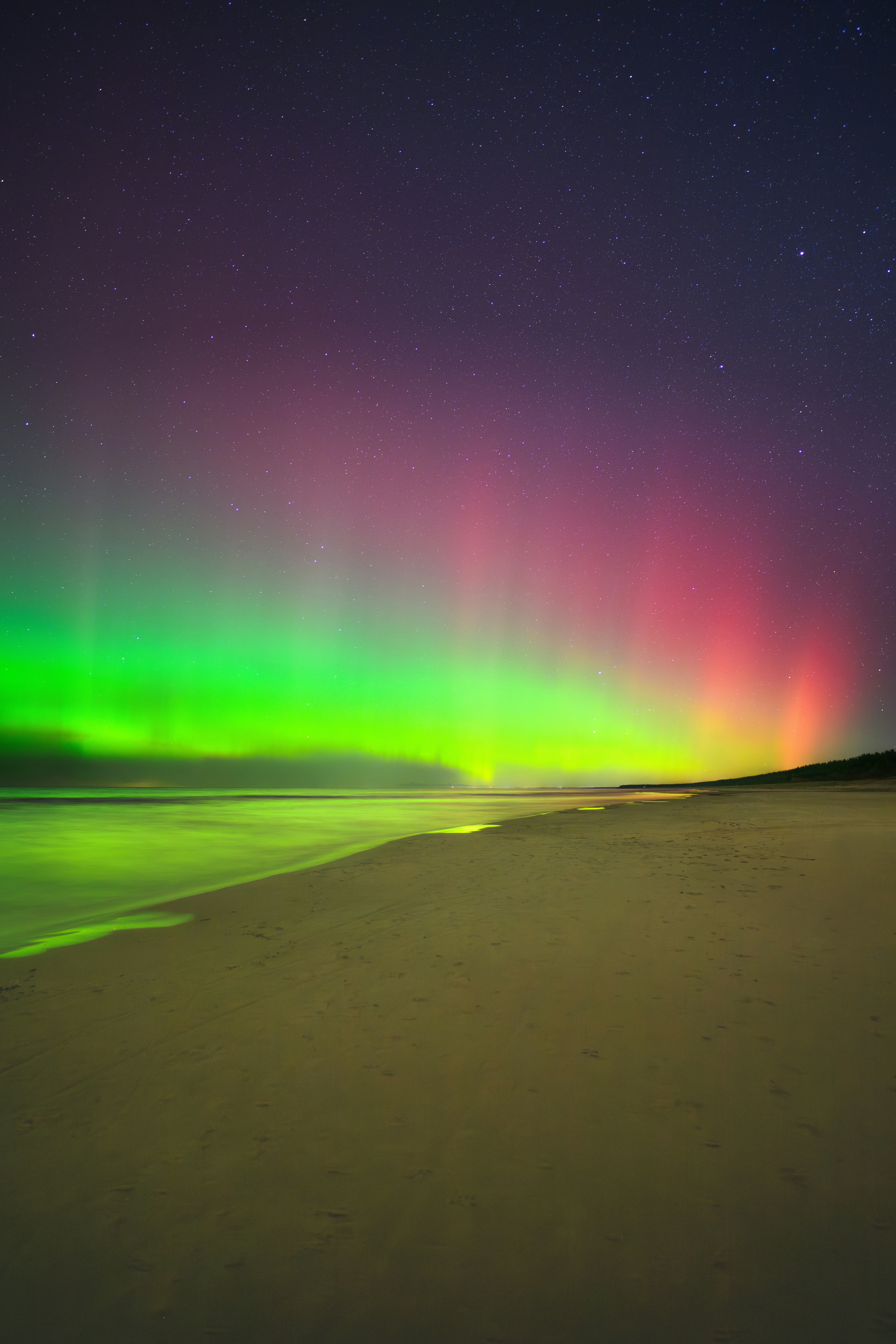 Photo by kristapsungurs