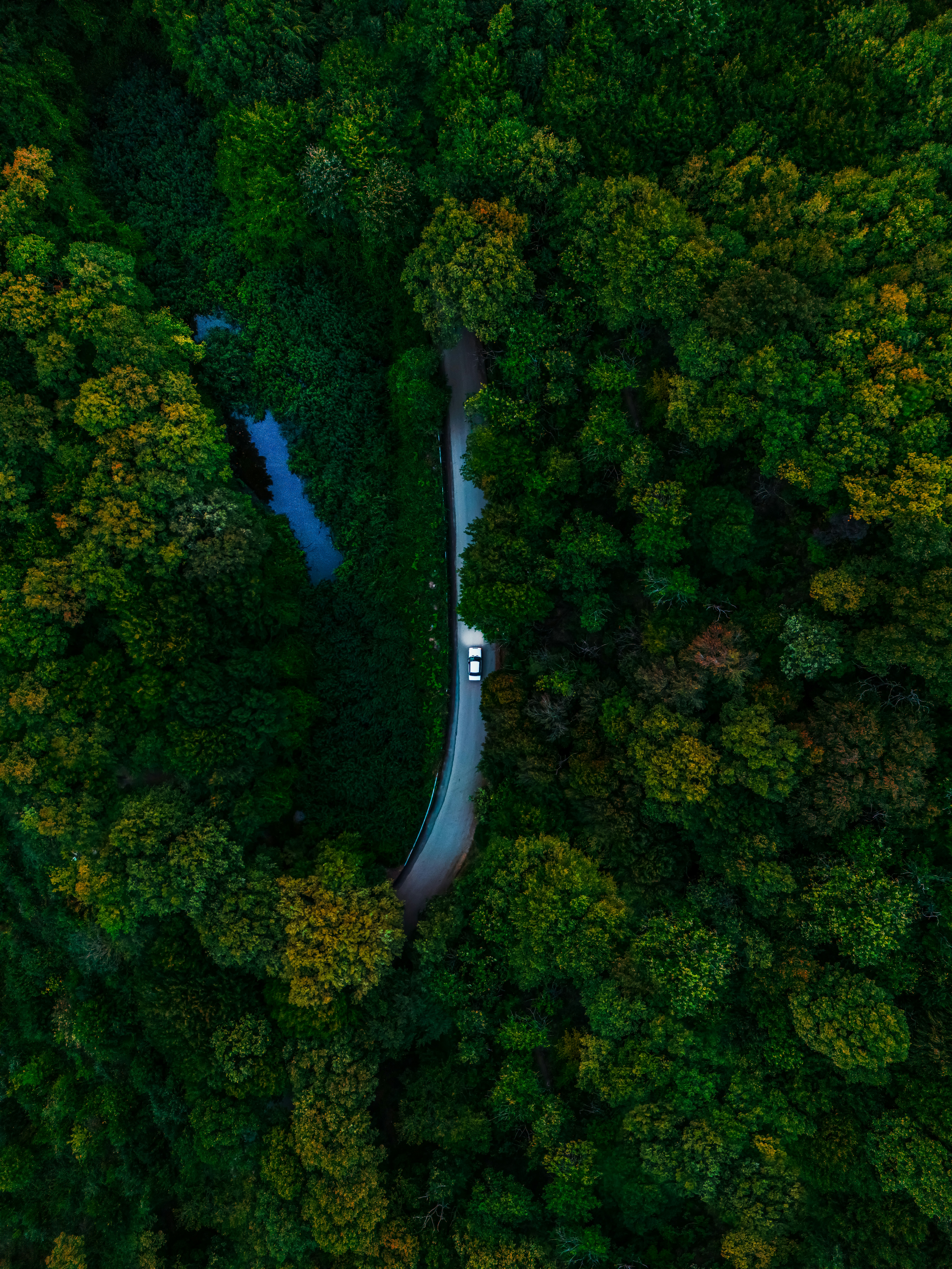 Photo by ismailhamzapolat