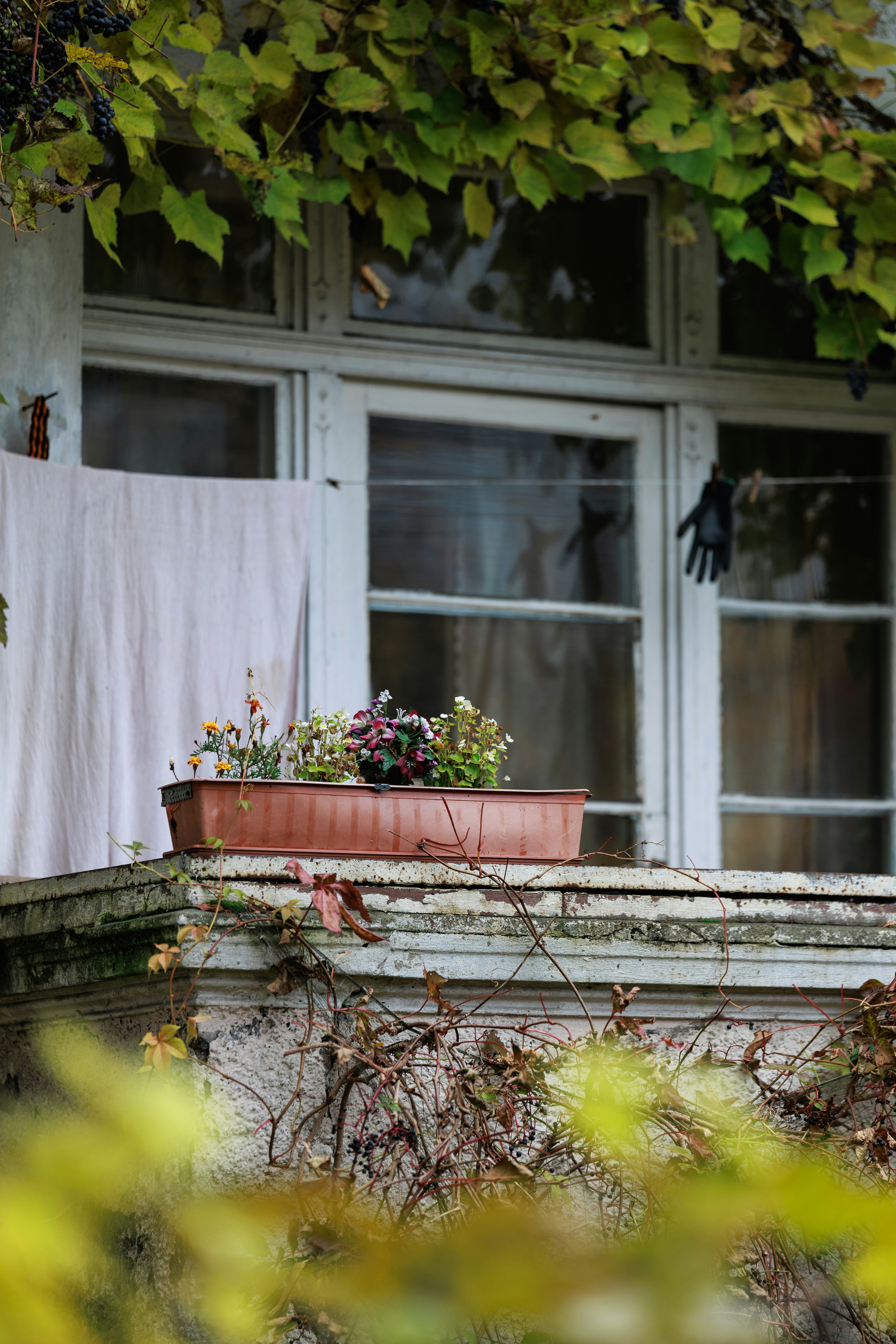 shabby chic balcony, wallpaper, Shabby Chic Balcony: Affordable Style 3