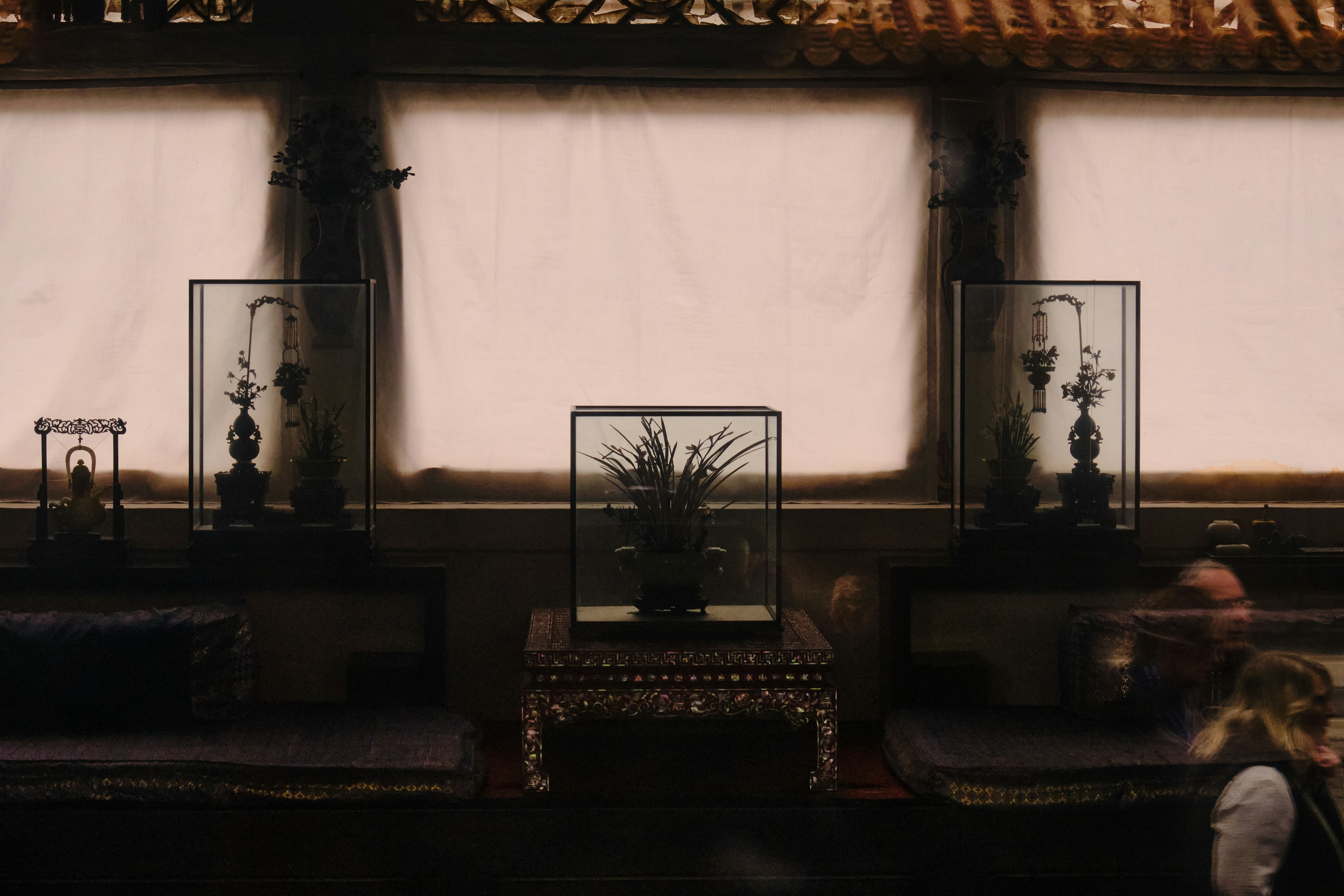 Glass display cases with plants and artifacts inside a room.