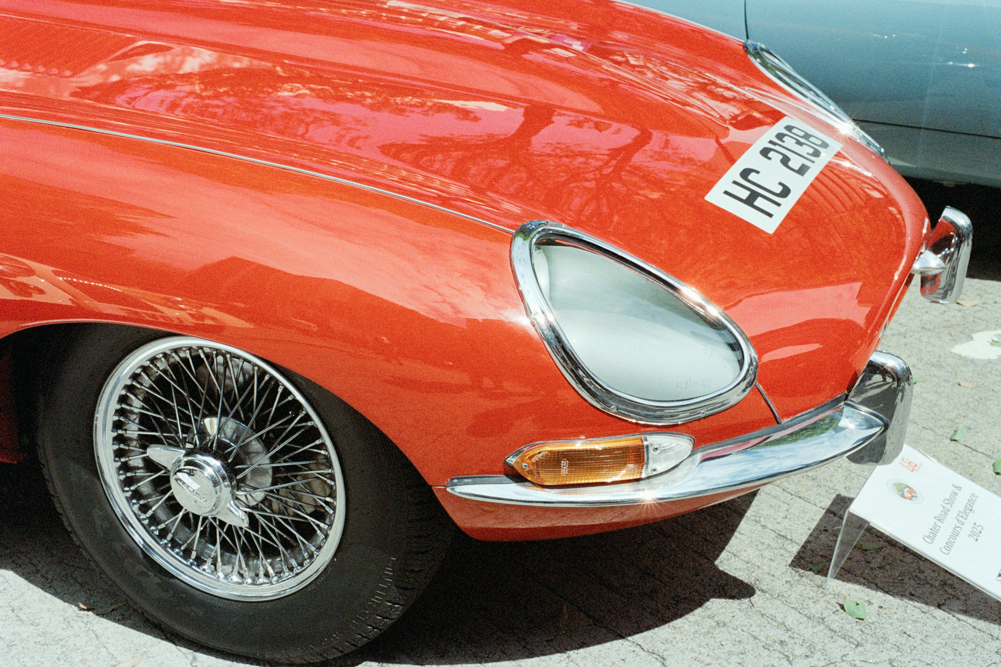 Photo by zhenyao_photo