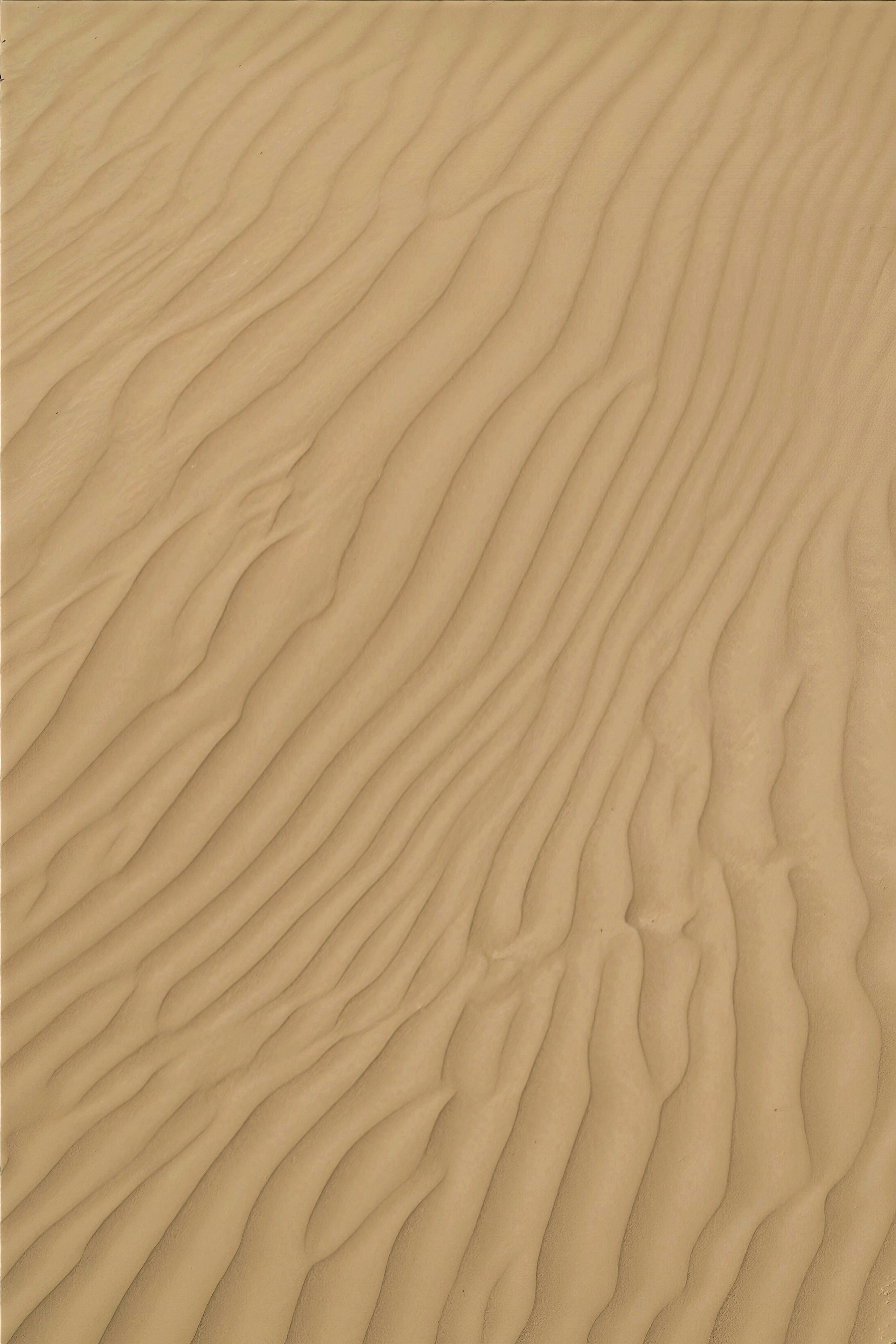 Photo by v91_photography