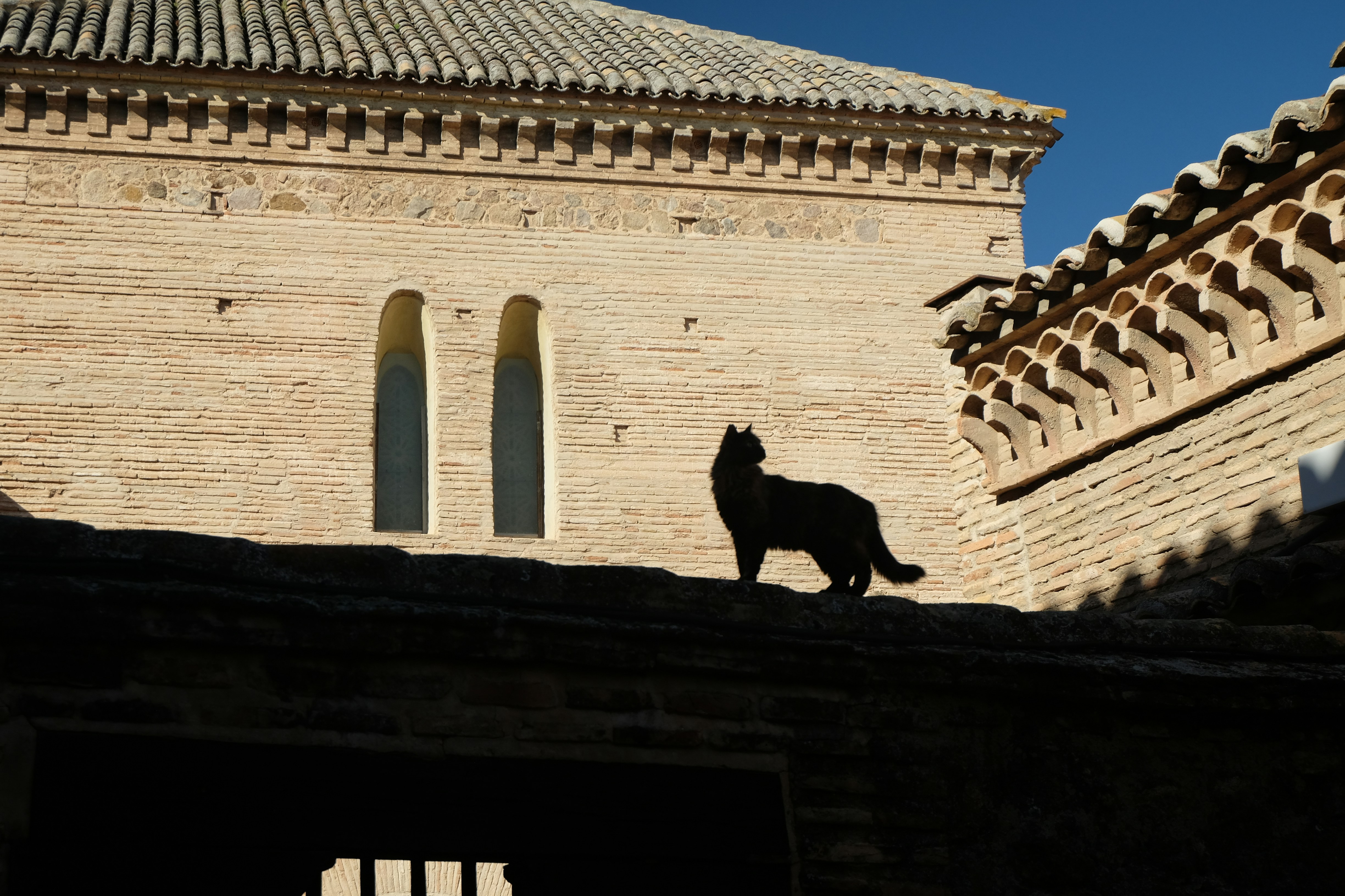 Eine schwarze Katze steht silhouettenhaft auf einem Dach.