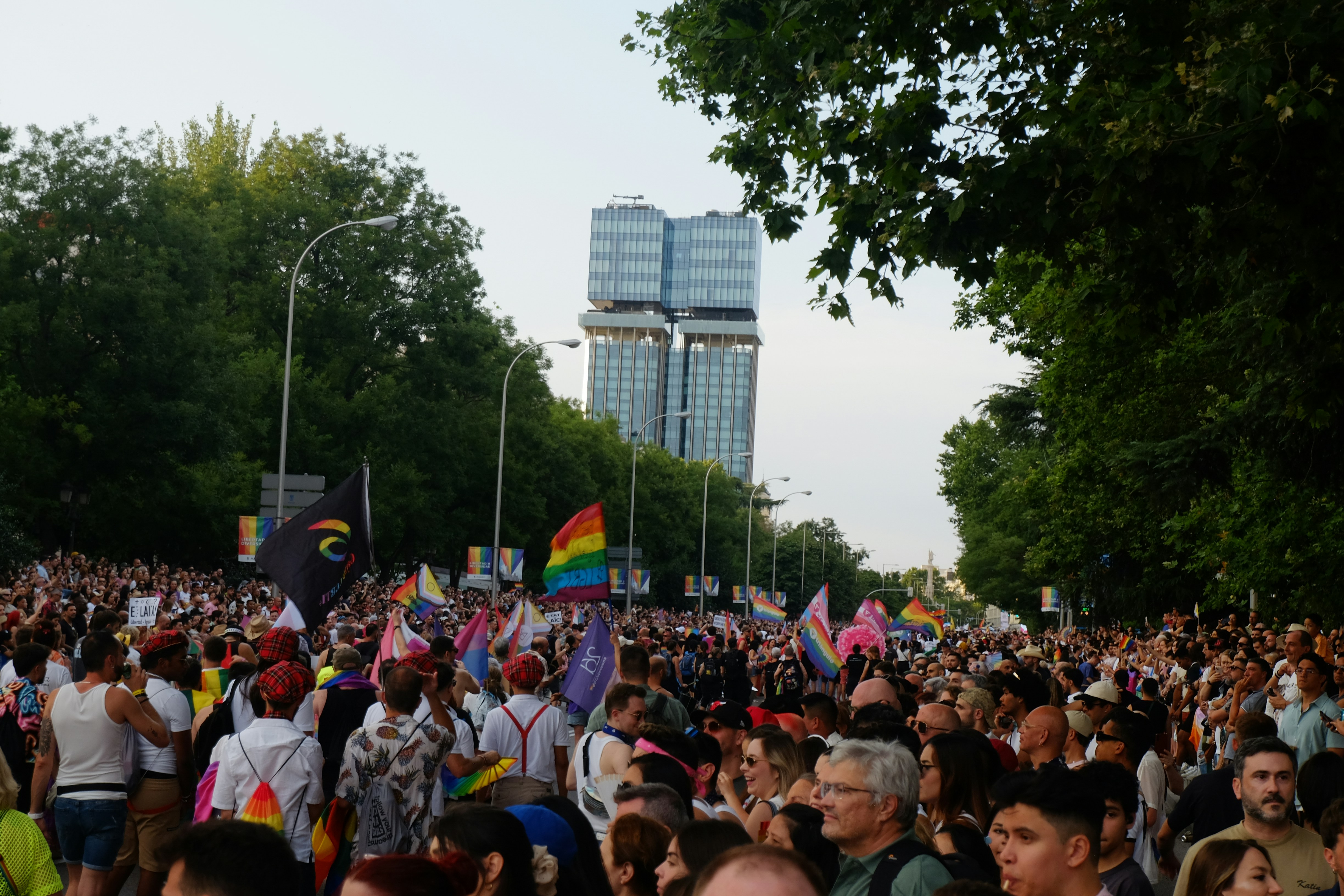 Crowd celebrating with rainbow flags at a Pride event