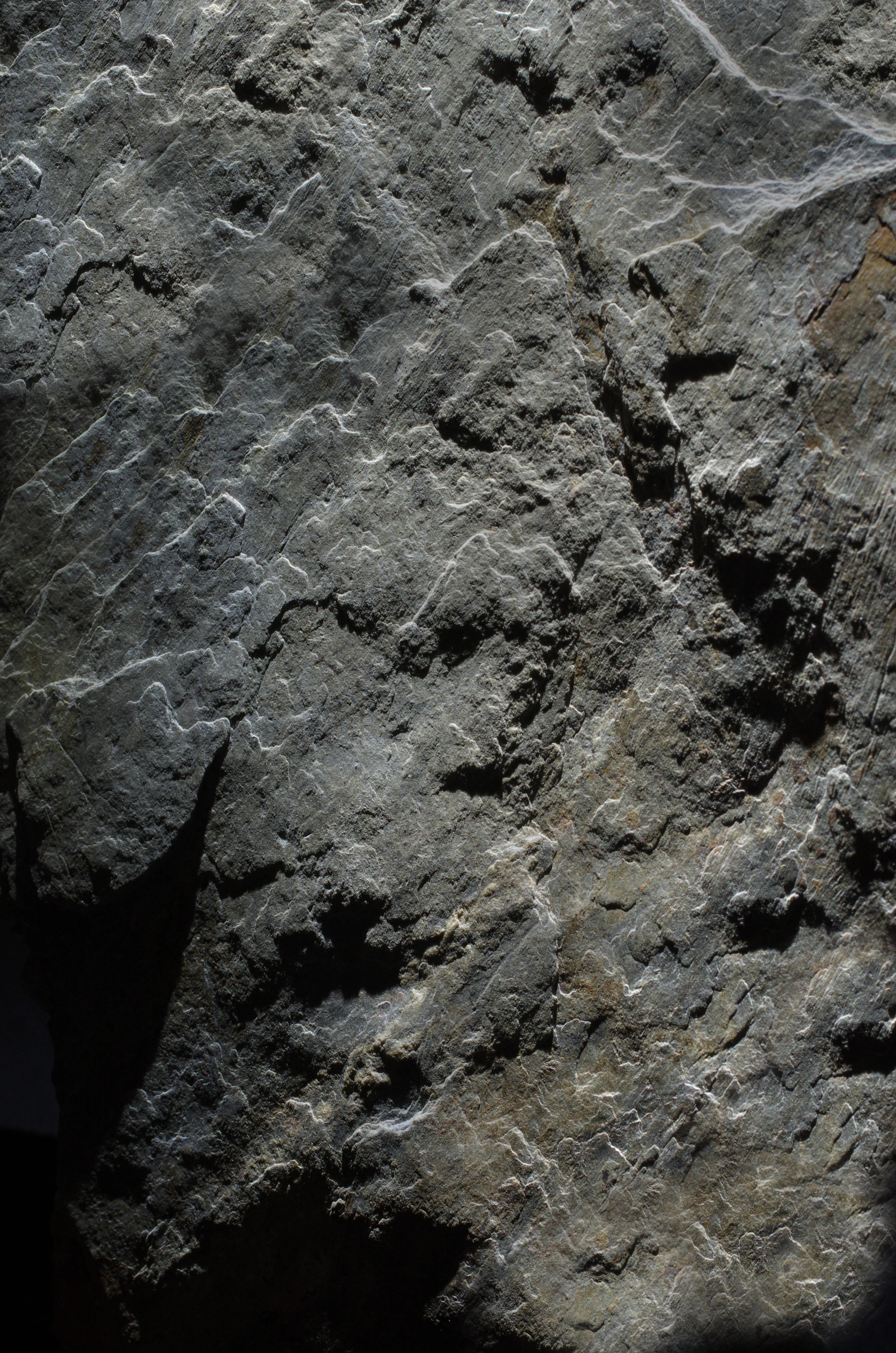 Close-up of textured grey rock surface