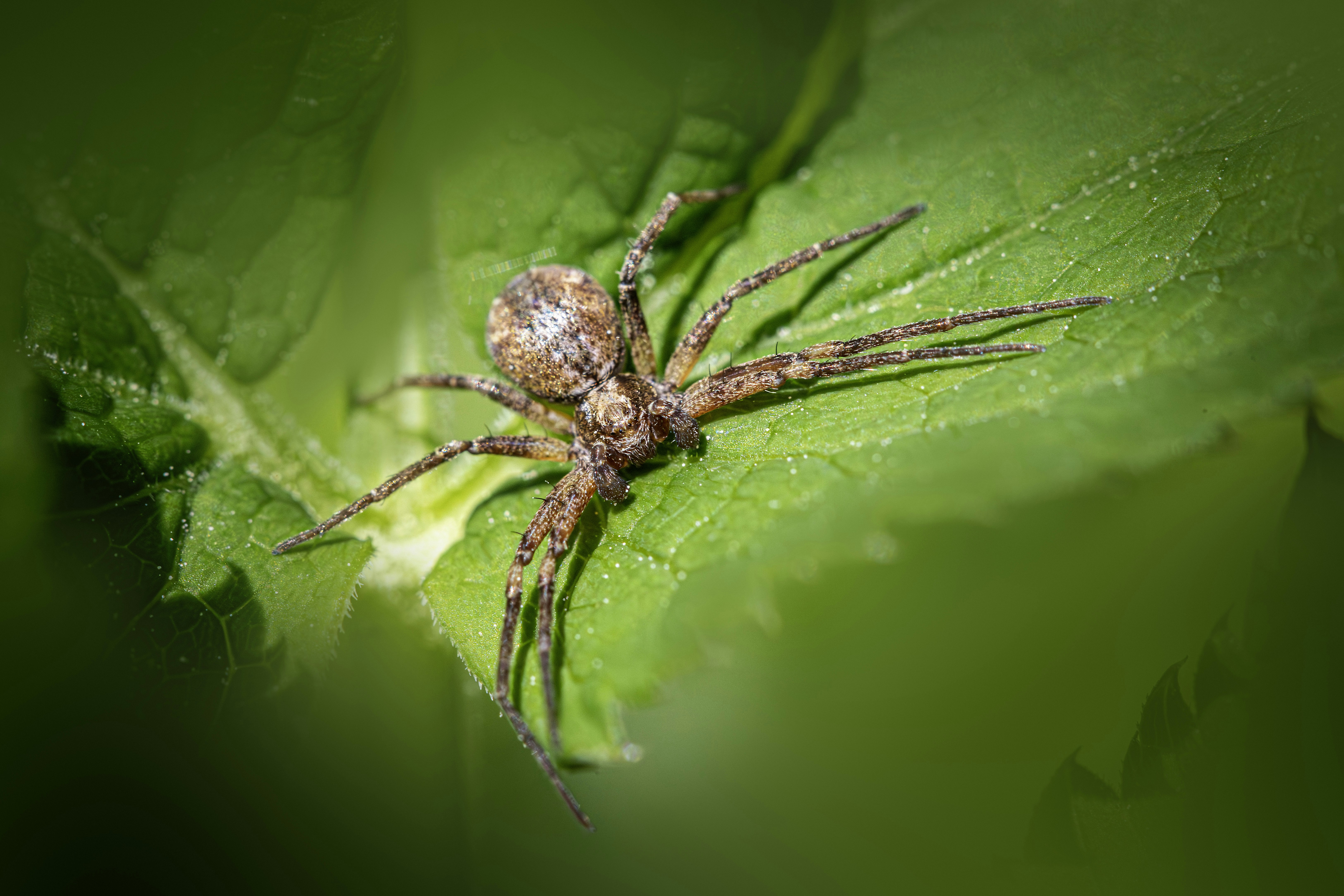 Photo by erik_karits