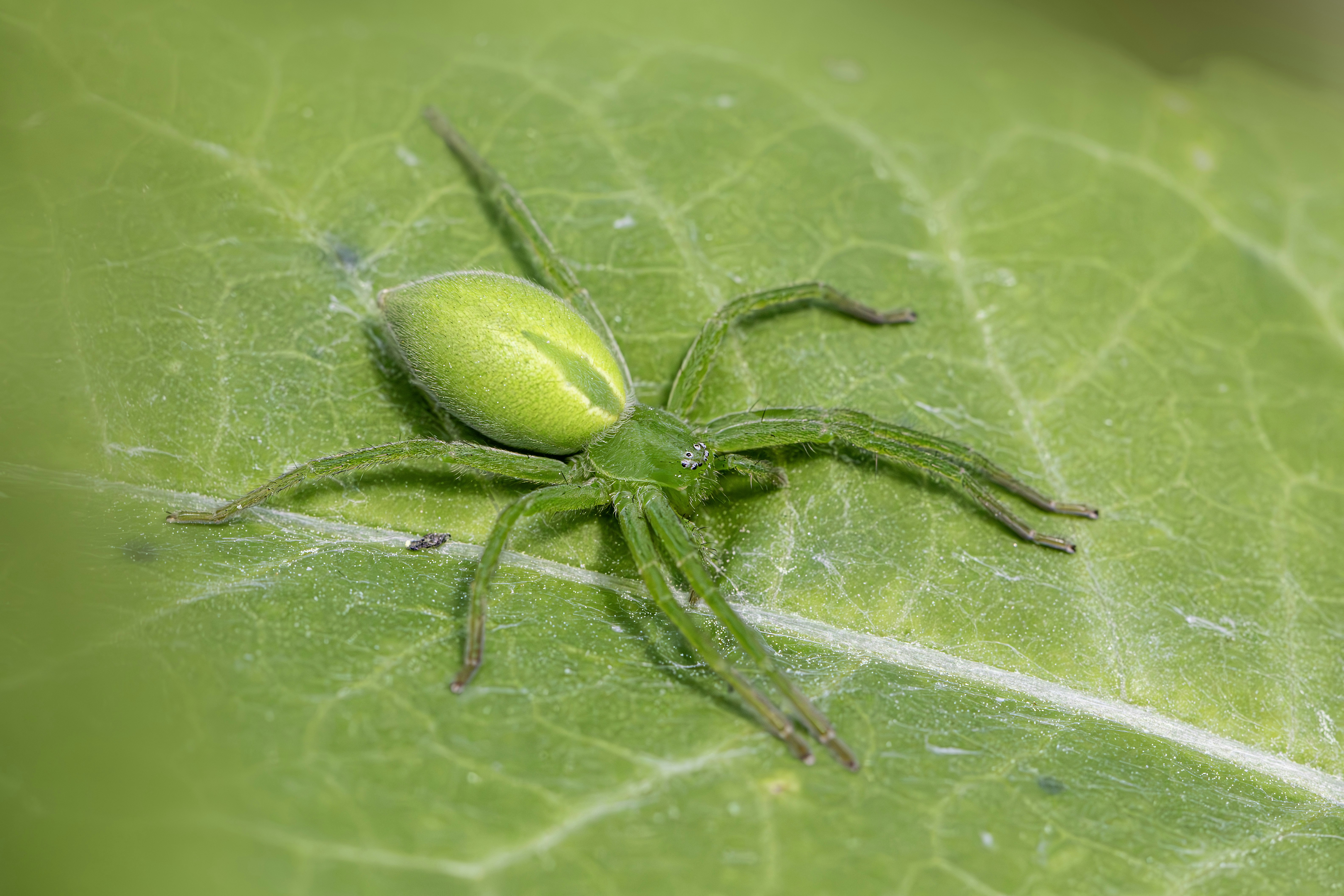 Photo by erik_karits