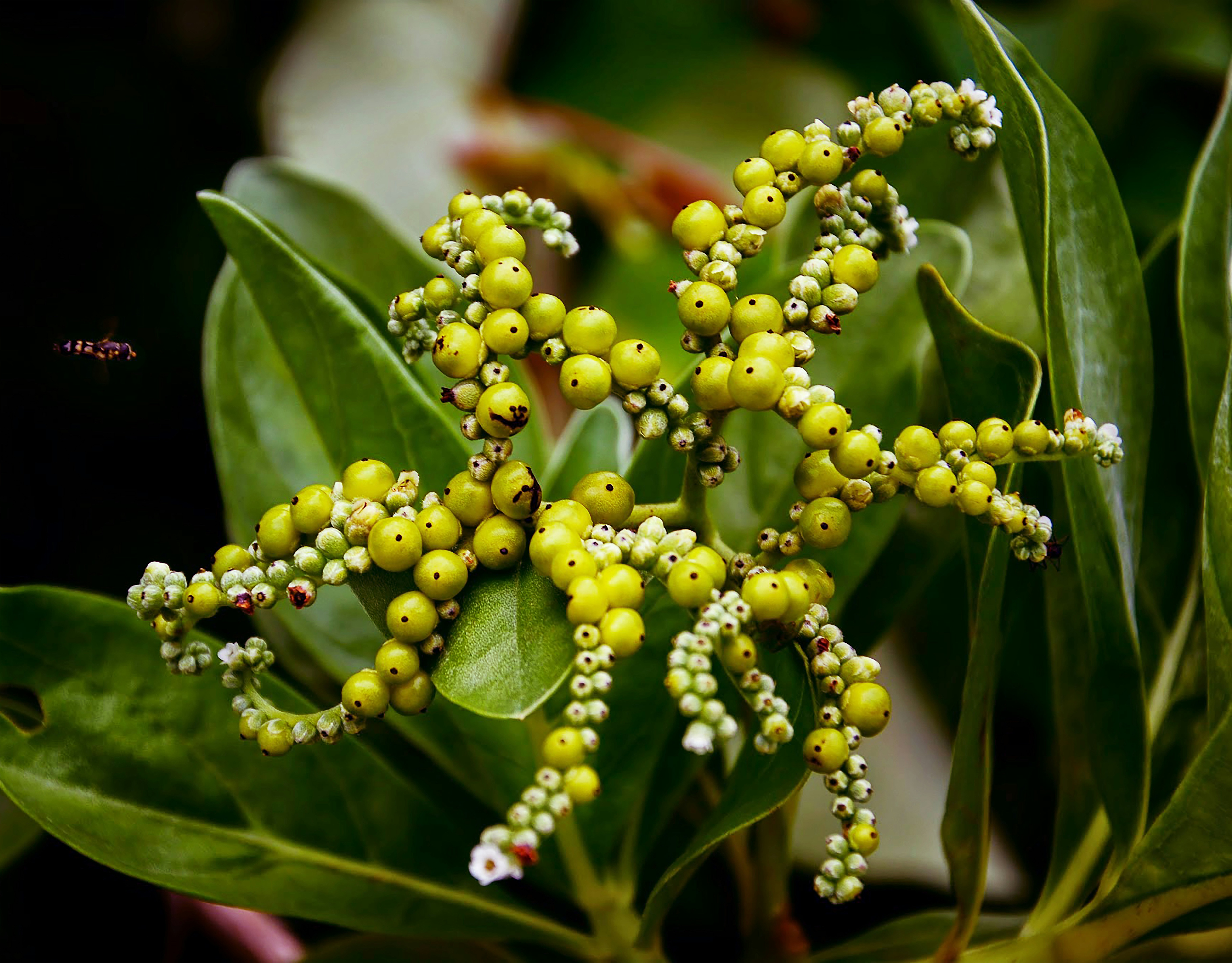 Photo by veronicawonderland