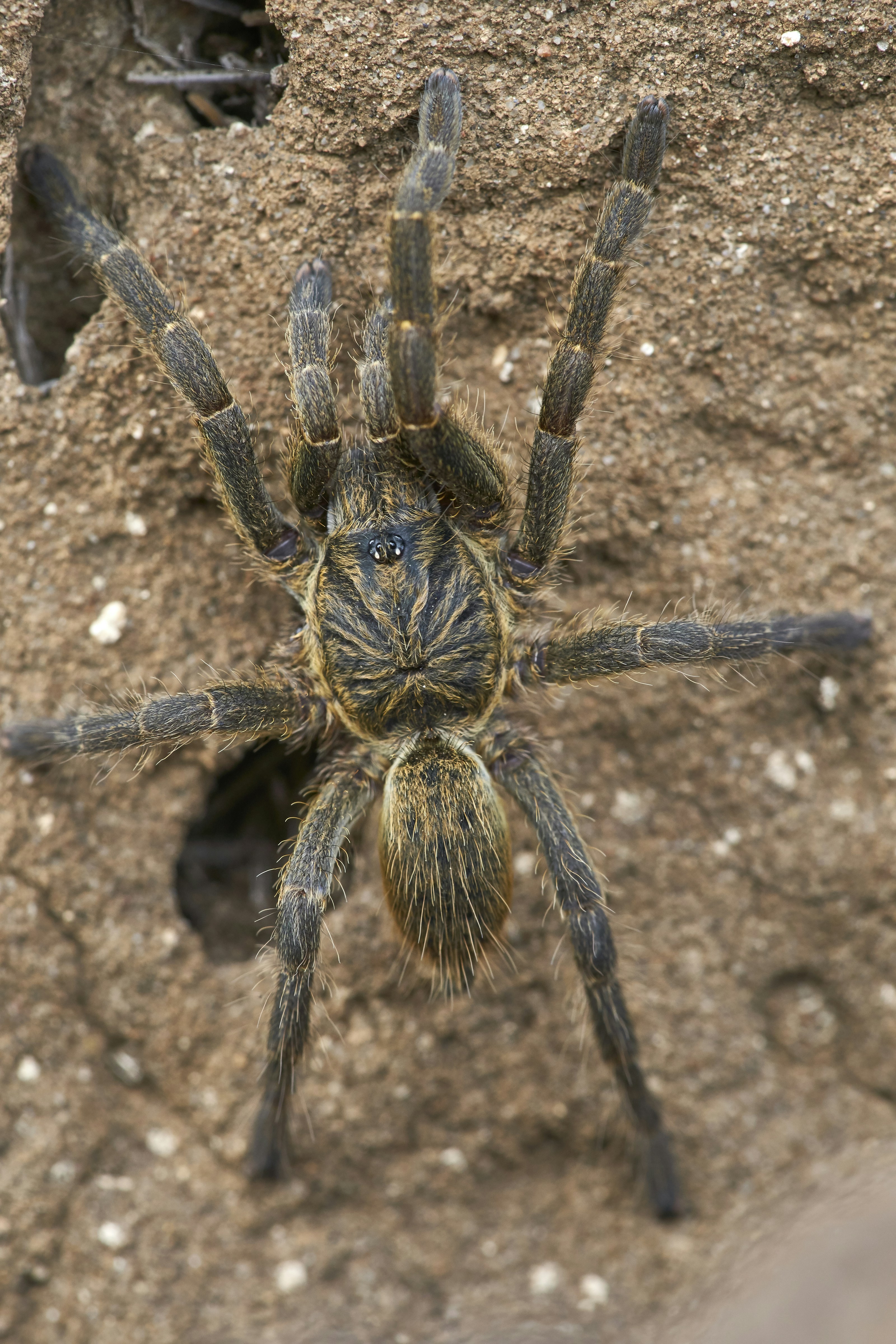 Photo by wolfgang_hasselmann