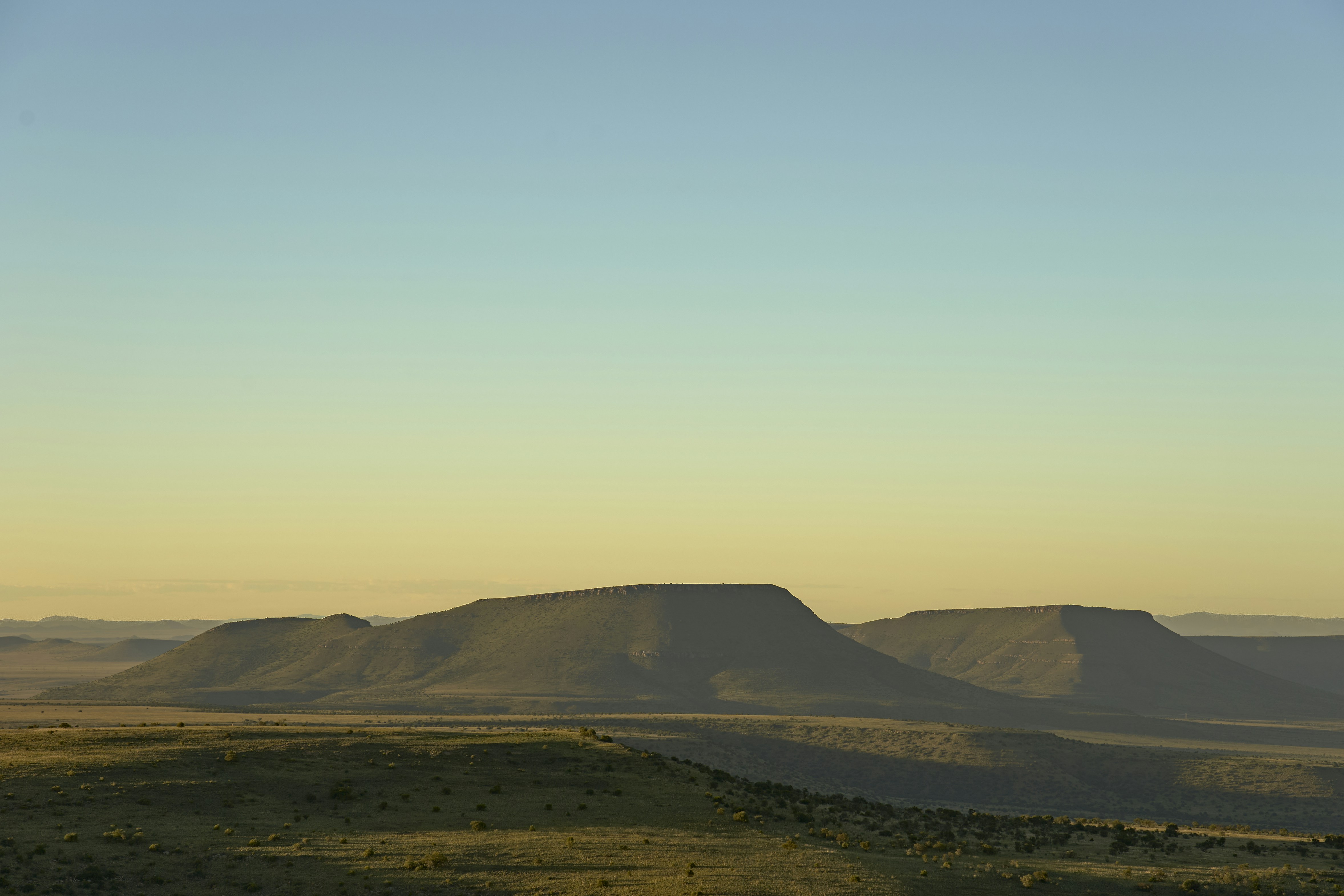 Photo by wolfgang_hasselmann