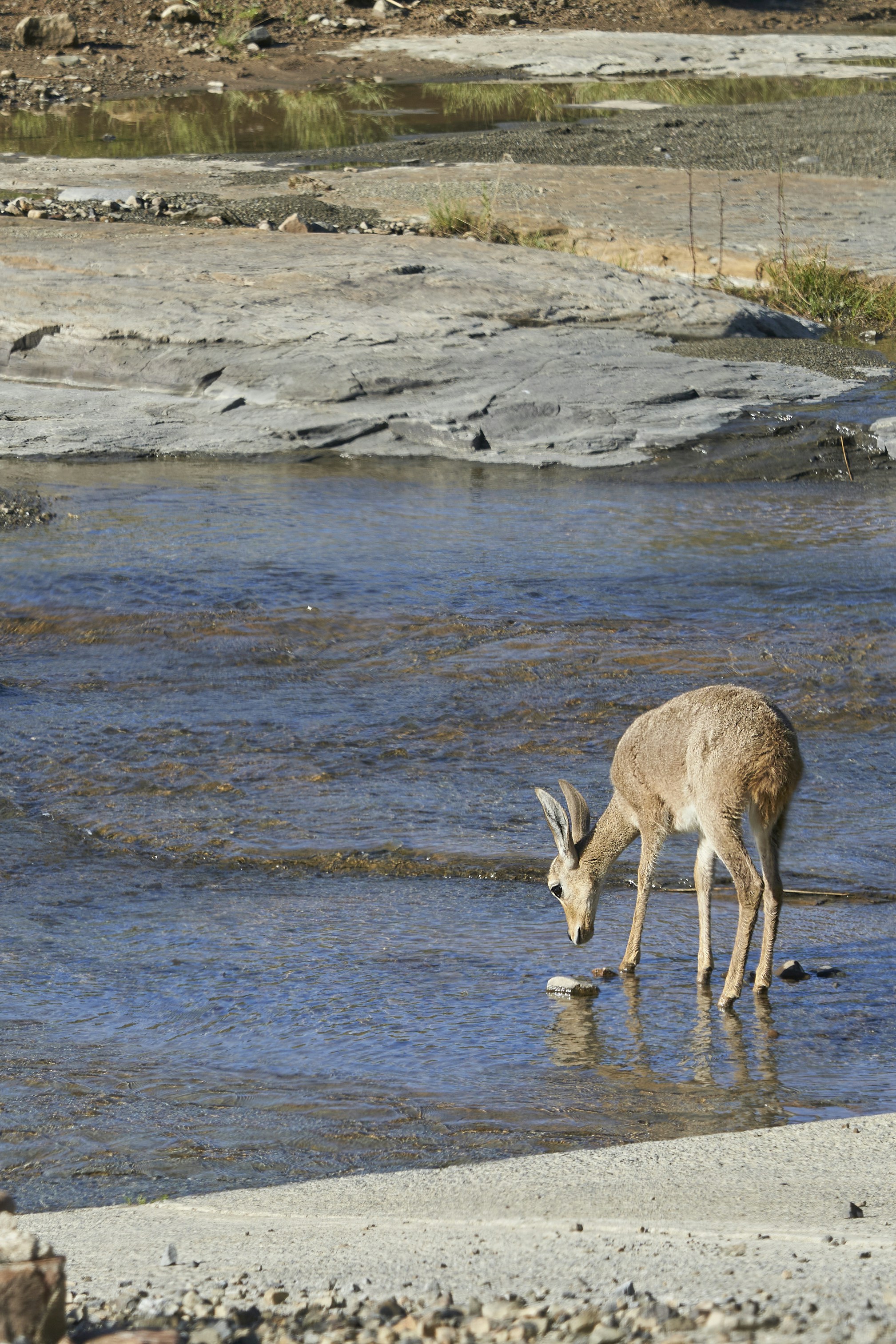 Photo by wolfgang_hasselmann