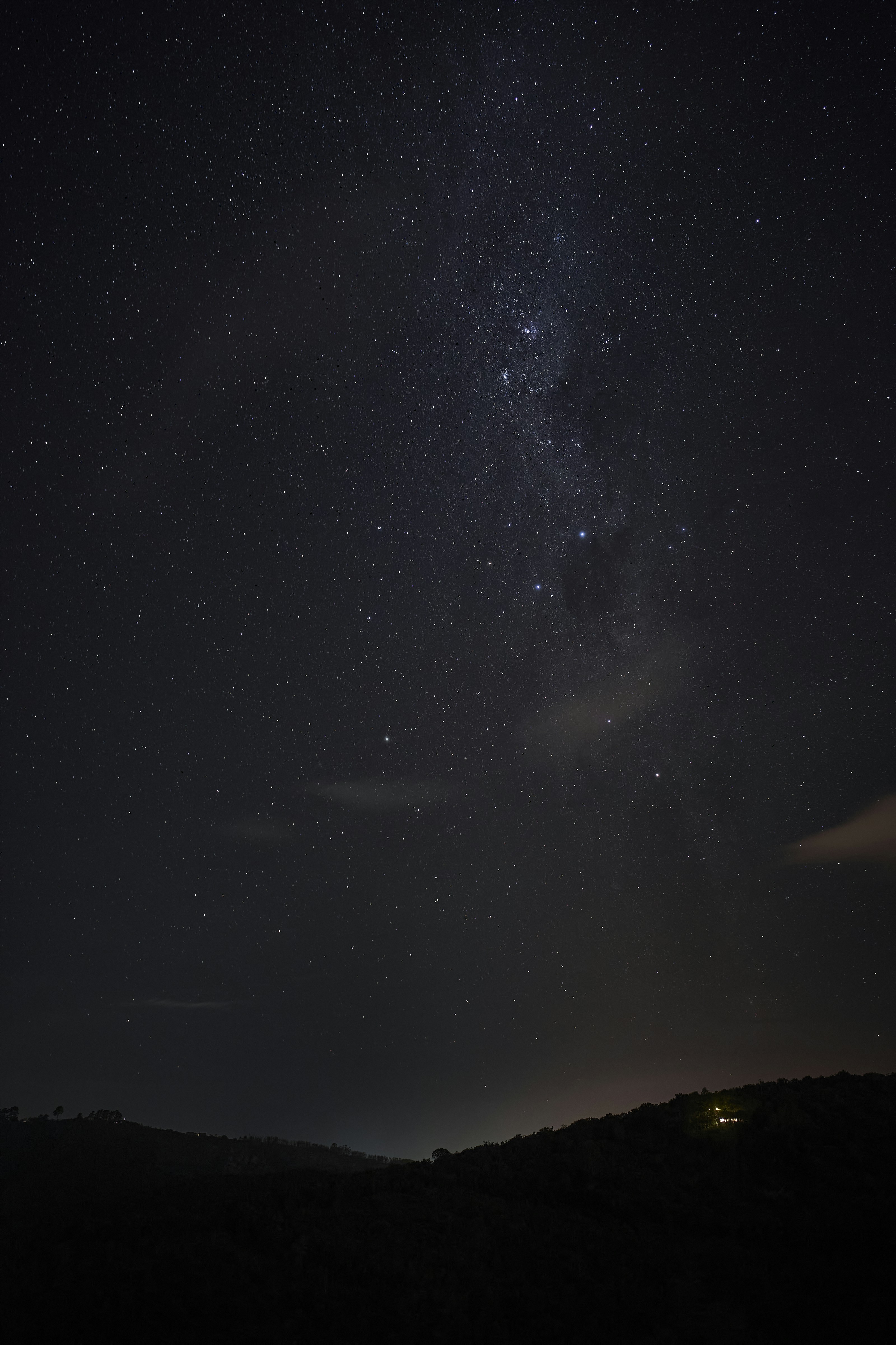 Photo by wolfgang_hasselmann