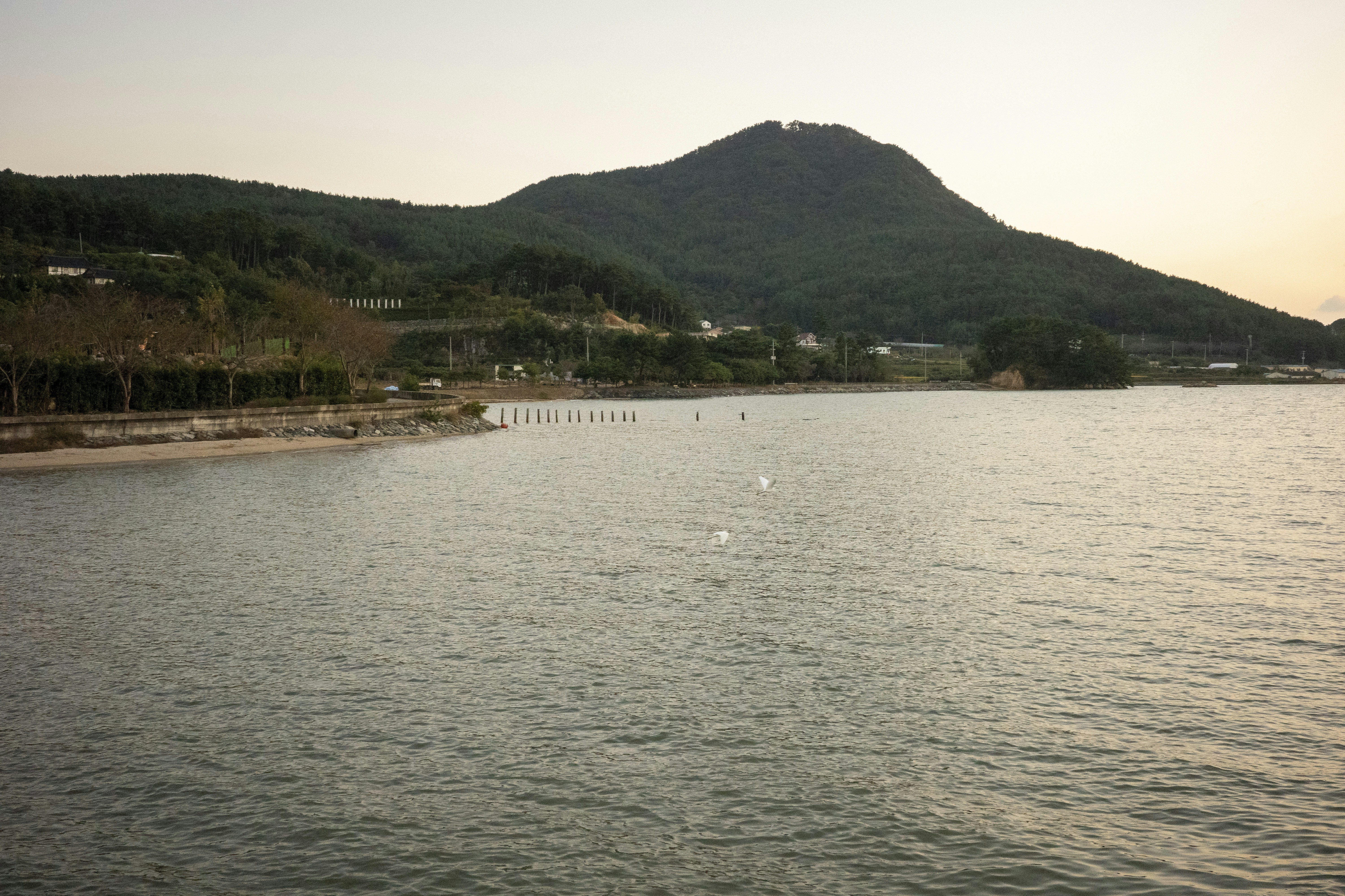 Photo by seunghoparklee