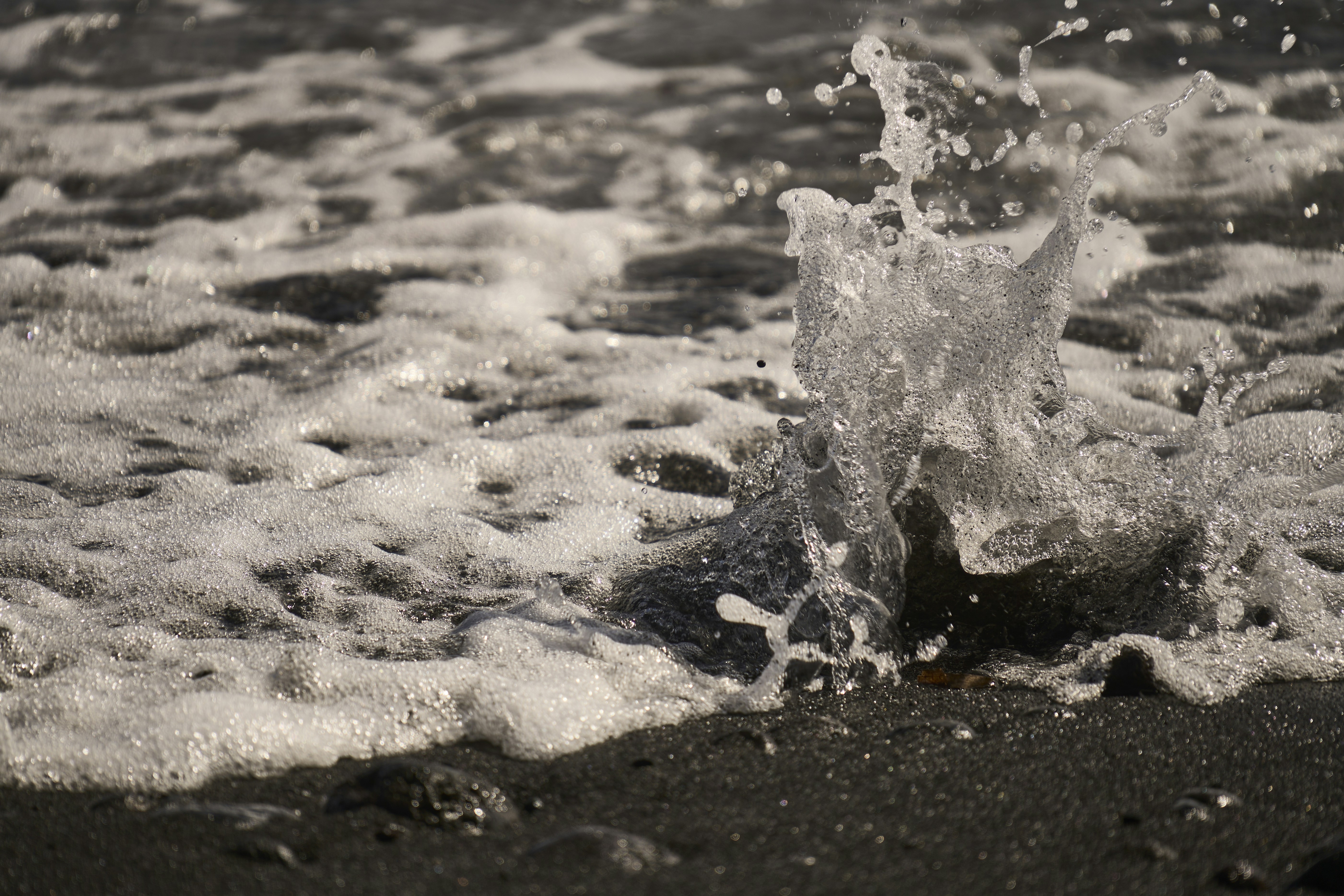 Photo by wolfgang_hasselmann