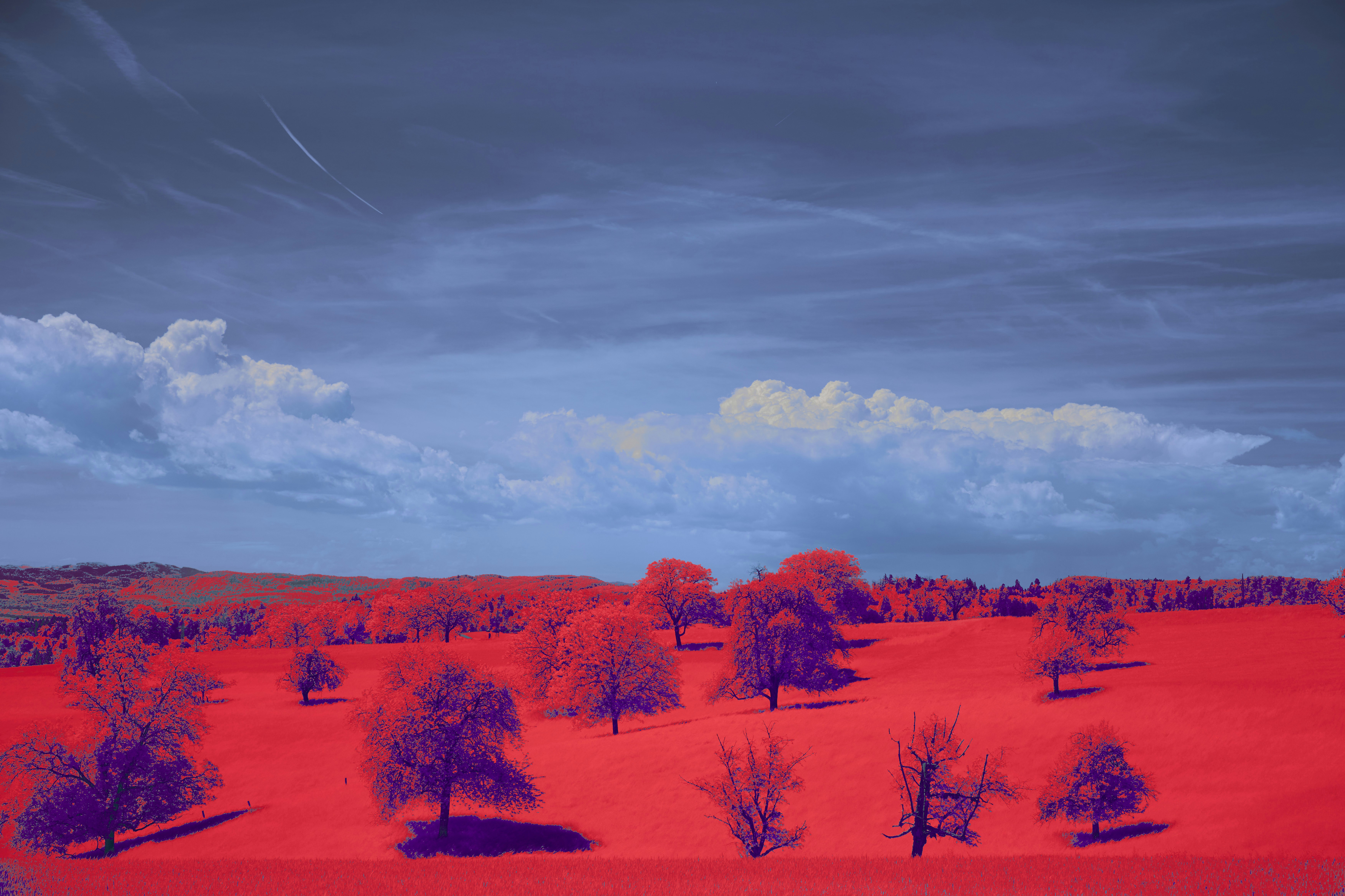 Photo by wolfgang_hasselmann