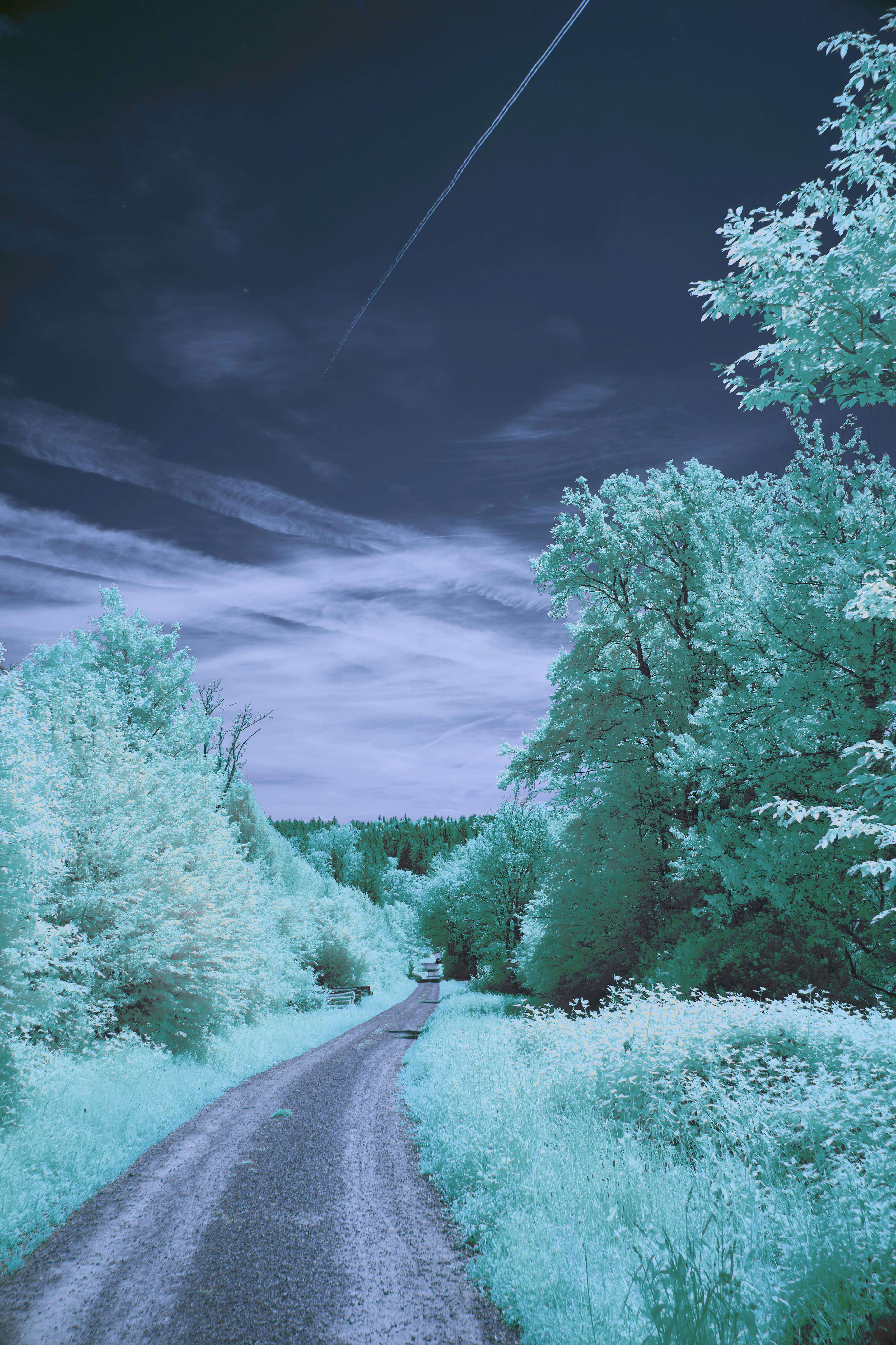 Photo by wolfgang_hasselmann