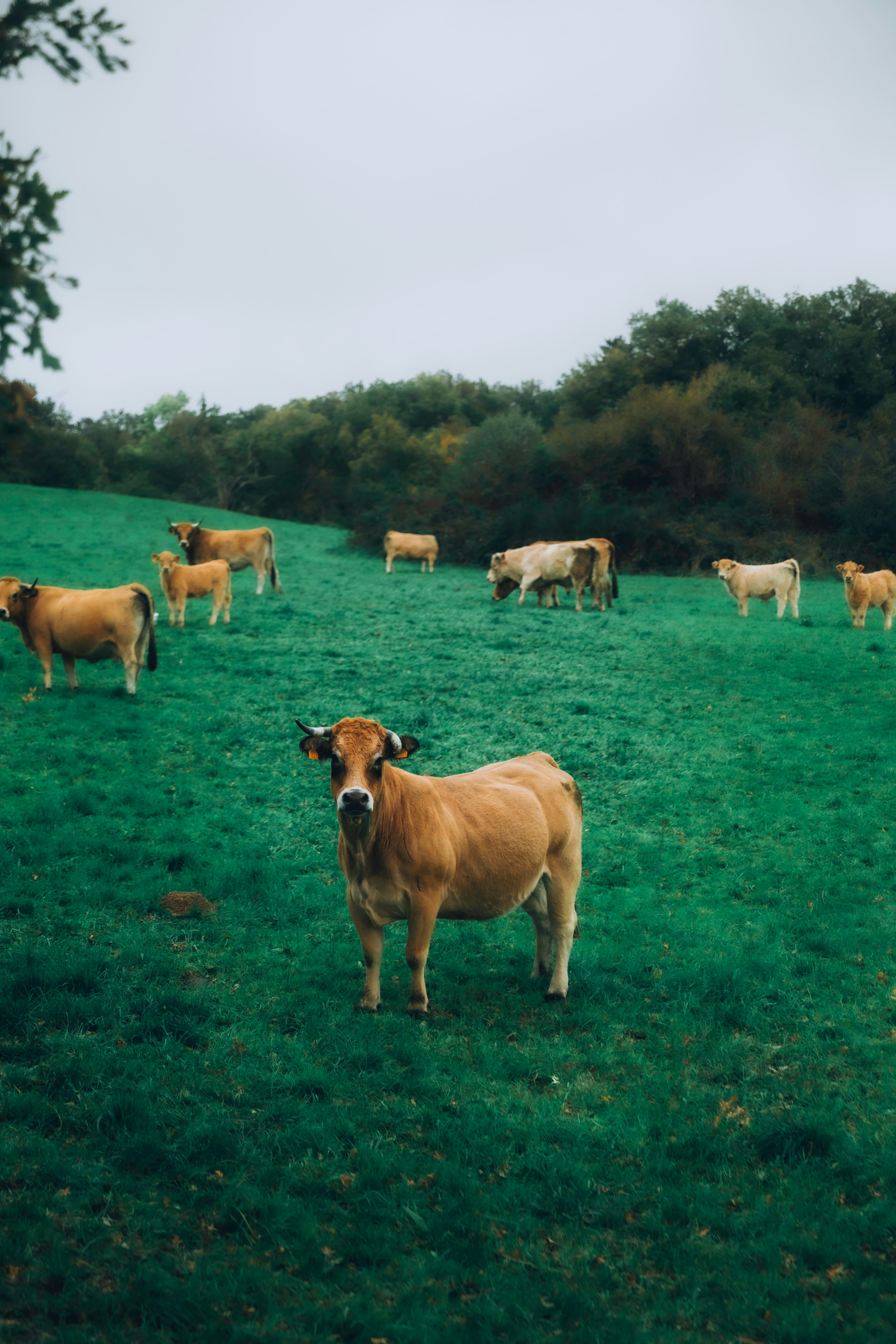 Photo by aurel_tyson