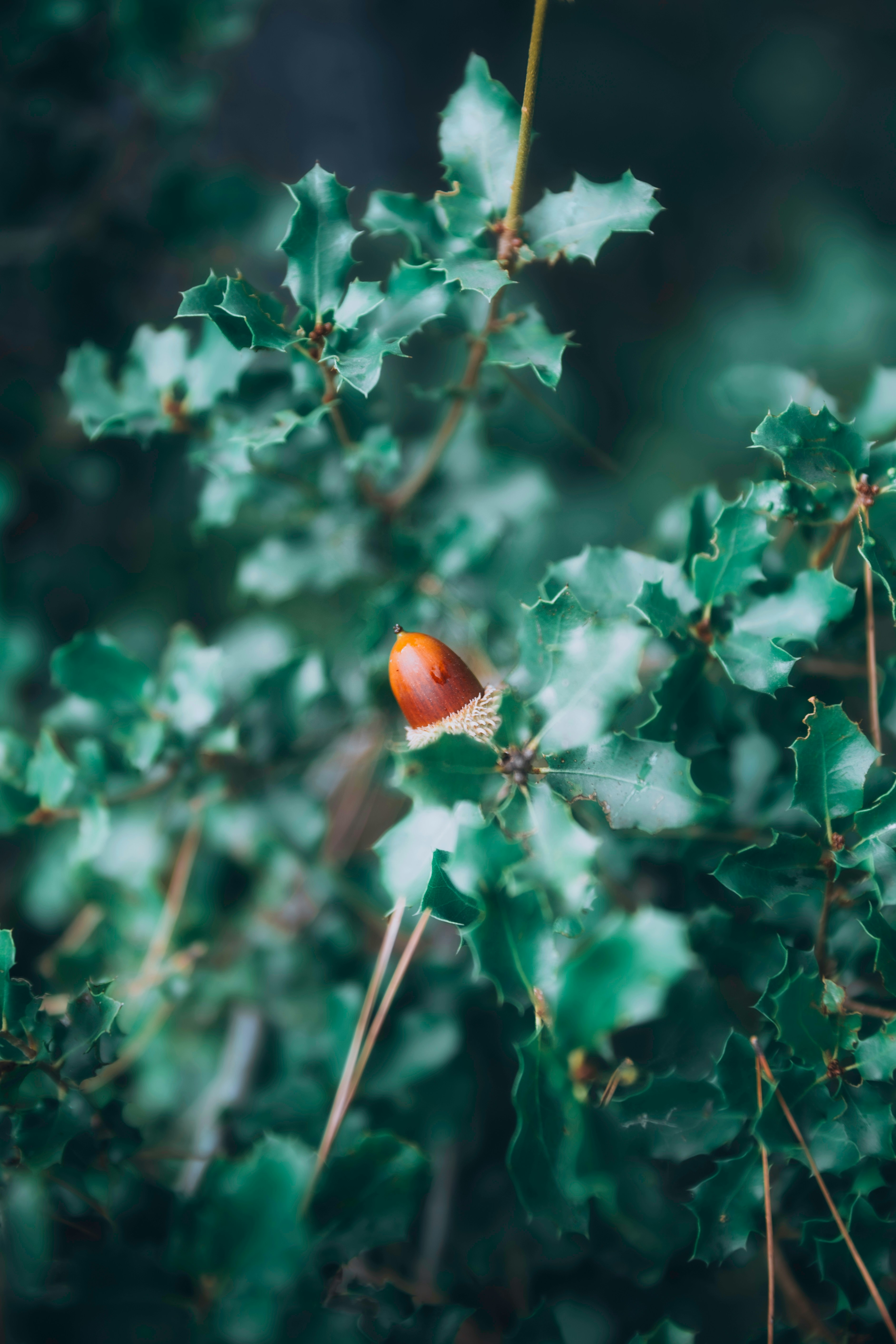 Photo by aurel_tyson